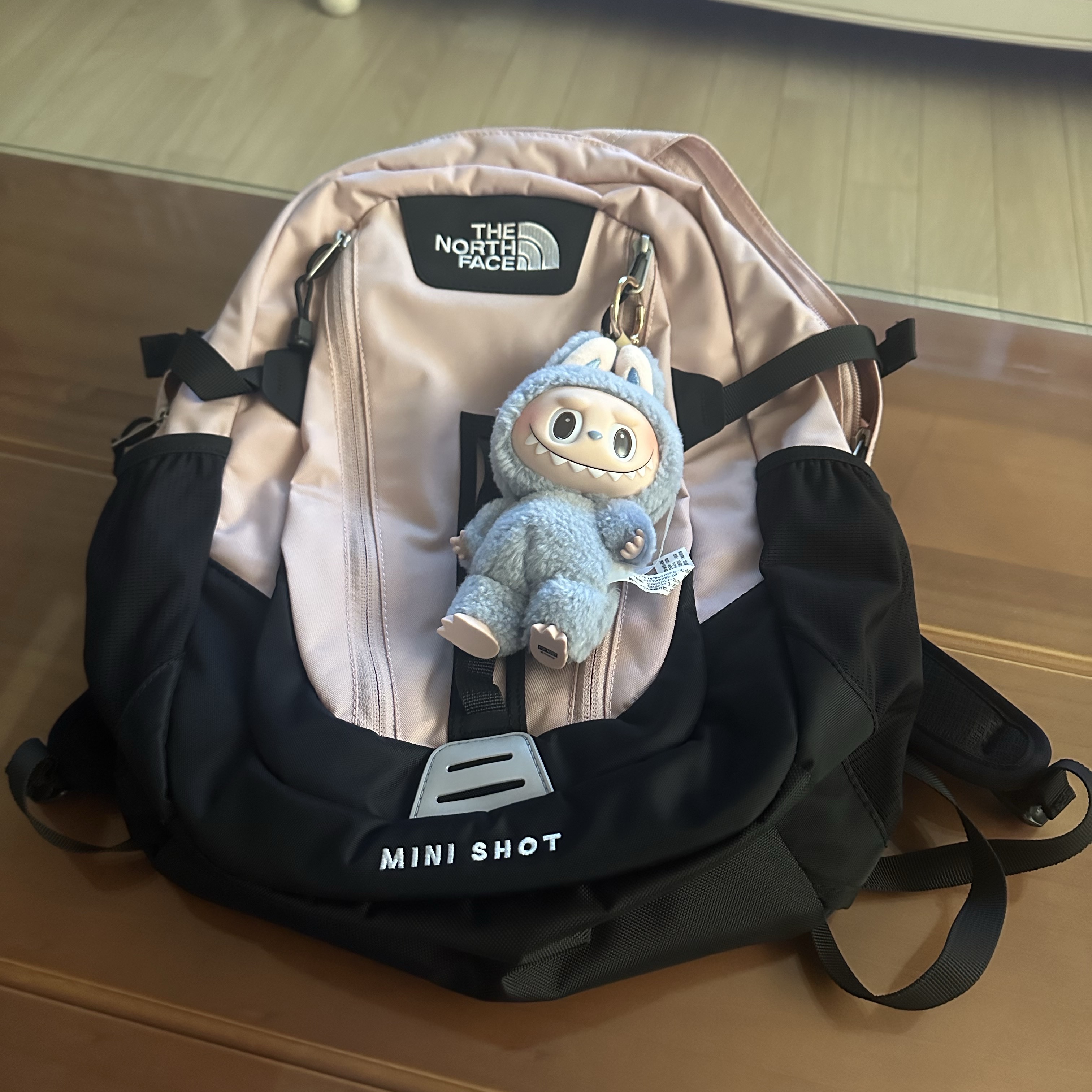 The North Face Mini Shot Pastel Pink 착용 스타일