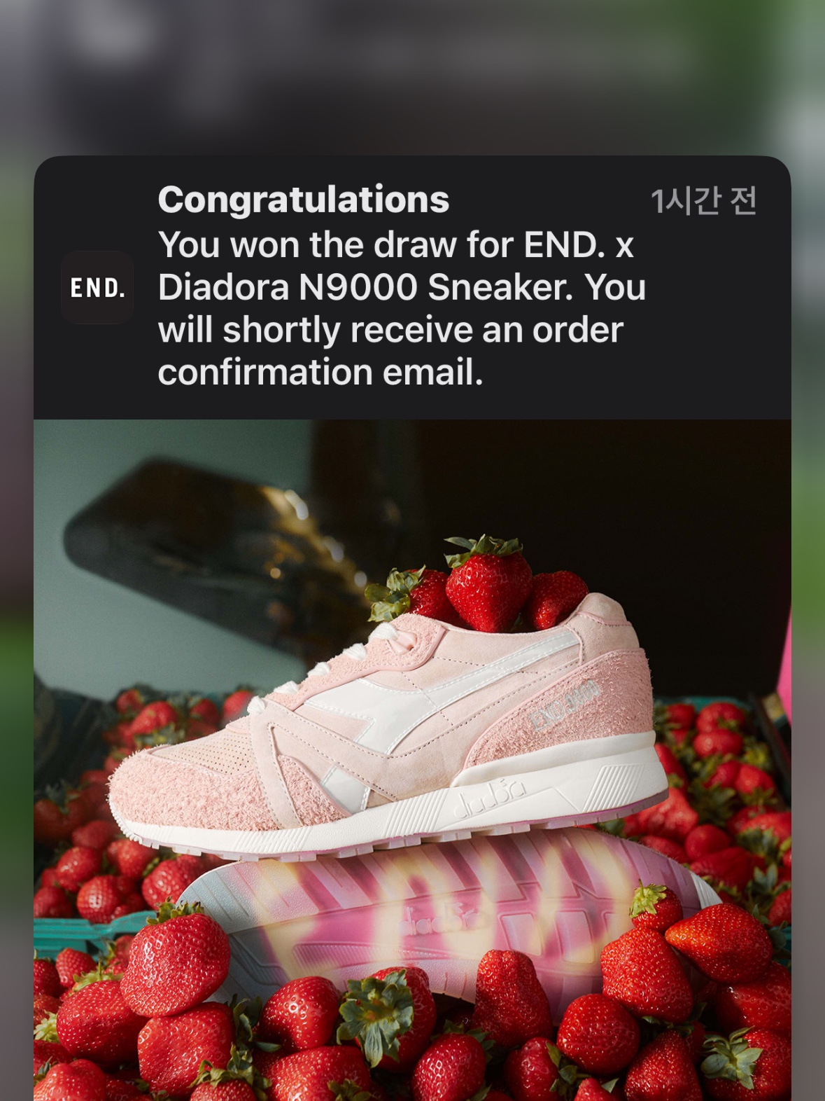 Diadora x END. N9000 Pink, Adidas x Noel Gallagher Marathon Spezial Night Navy Clear Blue 착용 스타일 - 1