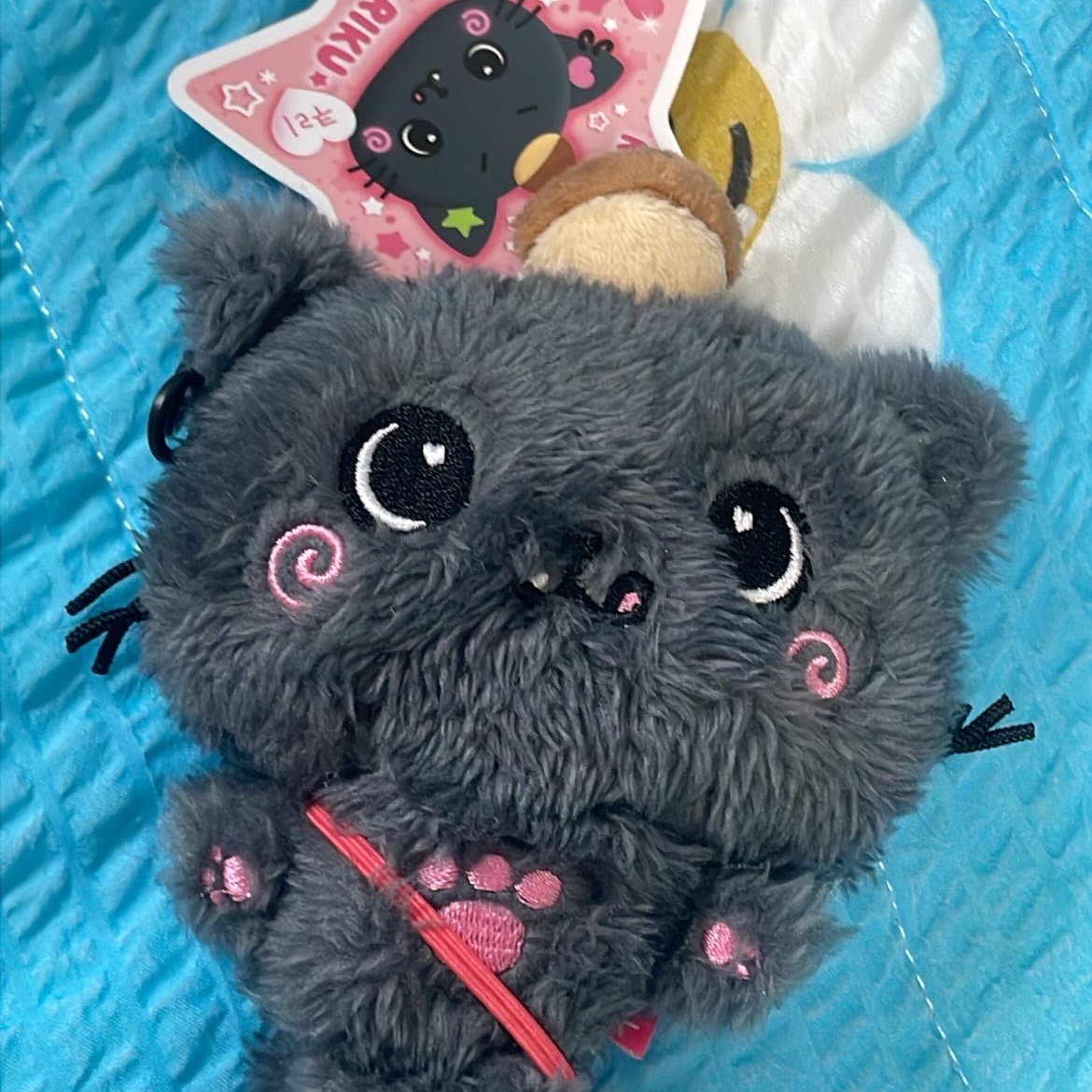 NCT Wish Steady Wish Doll Keyring Riku Ver. 착용 스타일