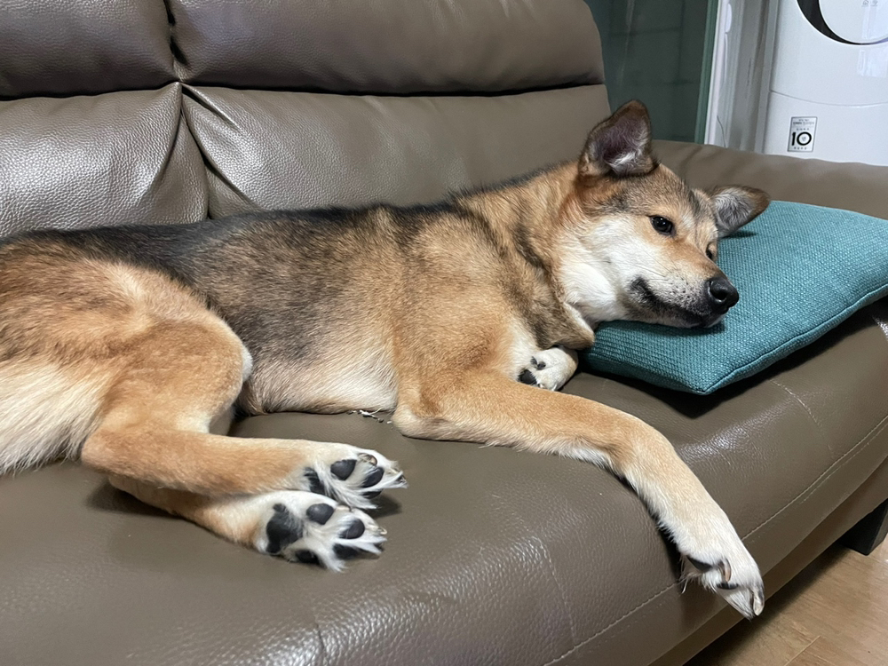 관심 유저 프로필 이미지