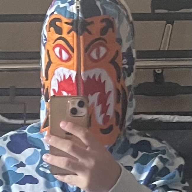 BAPE ABC Camo Tiger Full Zip Hoodie Blue 착용 스타일