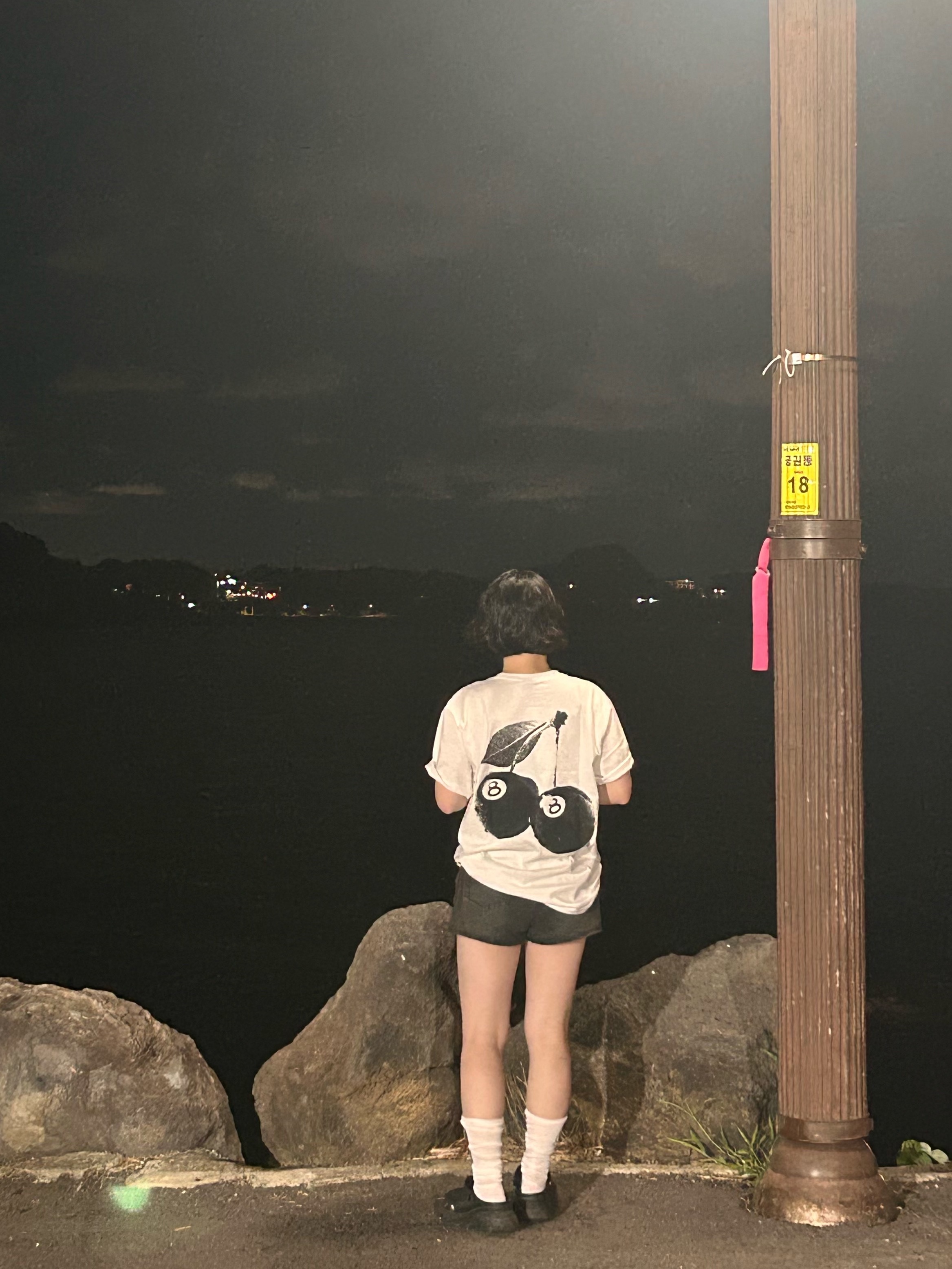 Stussy Cherries T-Shirt White 착용 스타일 - 2