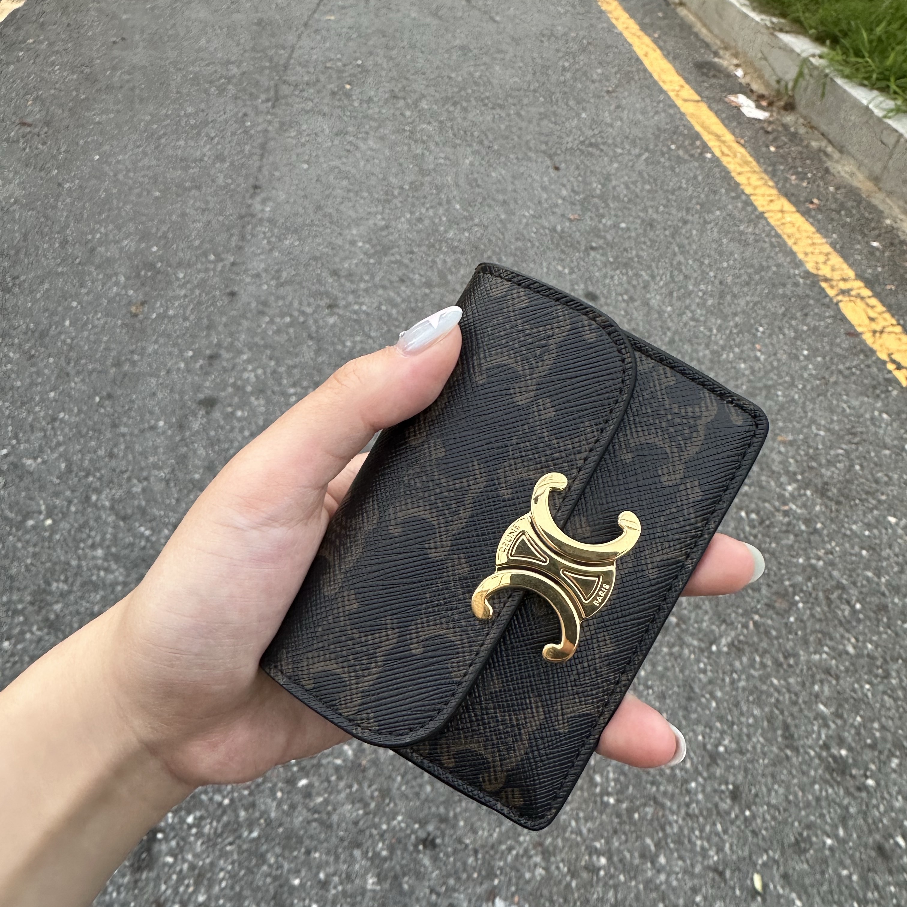 Celine Card Holder with Flap in Triomphe Canvas Tan 착용 스타일 - 2