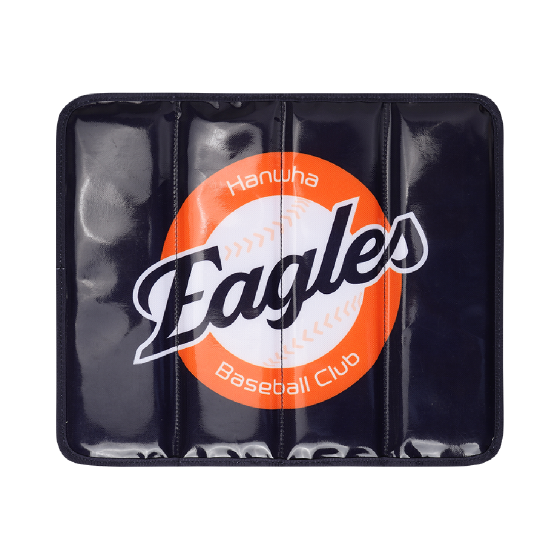 FHWGGD44999 Hanwha Eagles Sitting Cushion