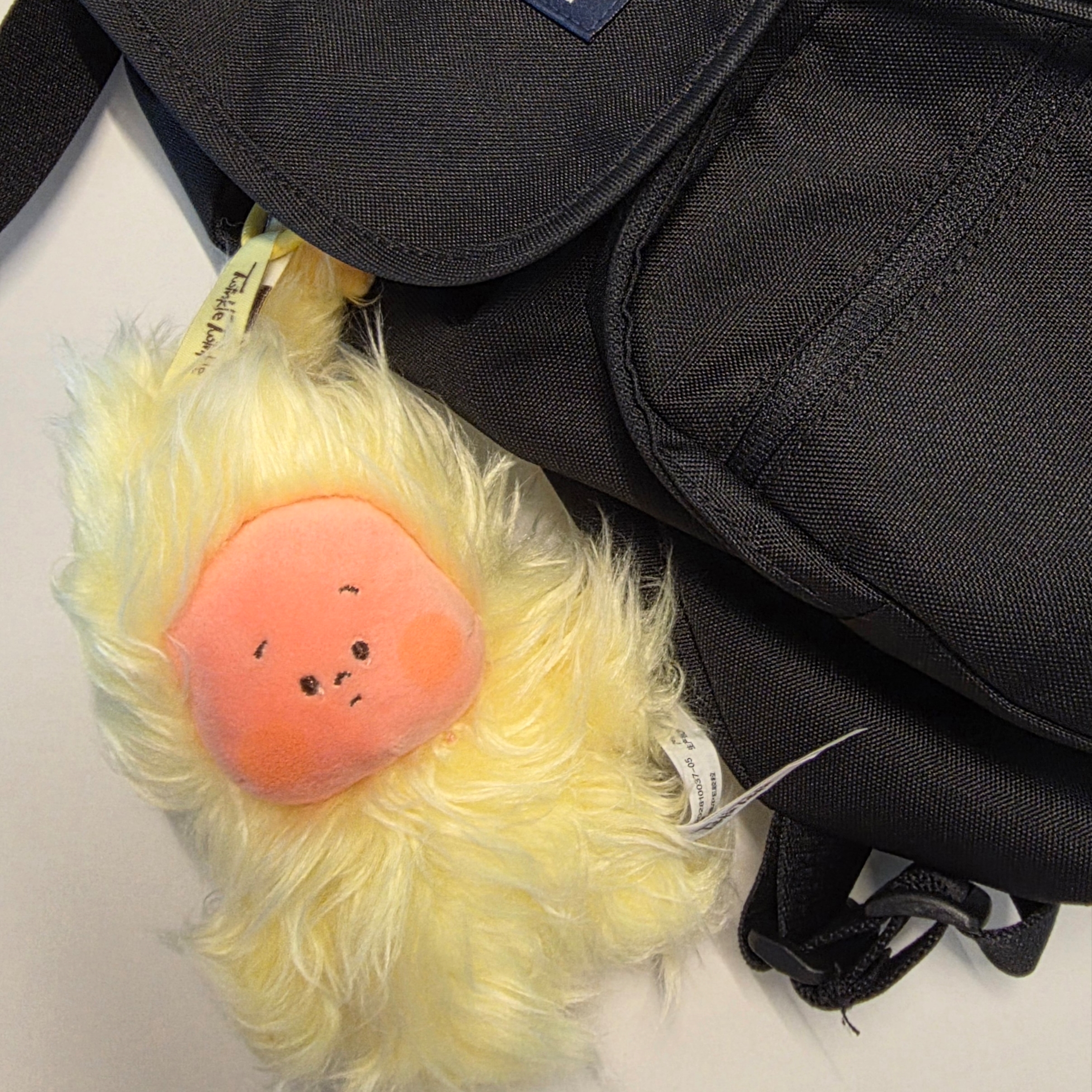 Pop Mart Twinkle Twinkle Sweet Dreams Forecast Series Plush Pendant Mess In Wind (Opened Case) 착용 스타일