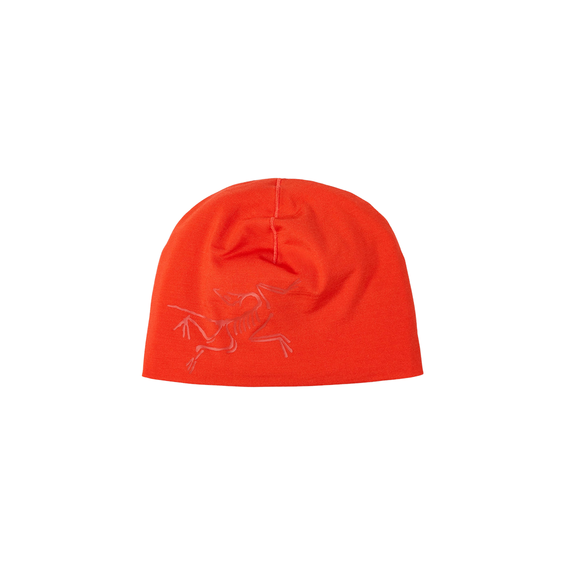 아크테릭스 사토로 메리노 토크 다이나스티(Arc'teryx Satoro Merino Toque Dynasty) - 1