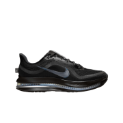 (W) Nike Pegasus Premium Black Metallic Silver