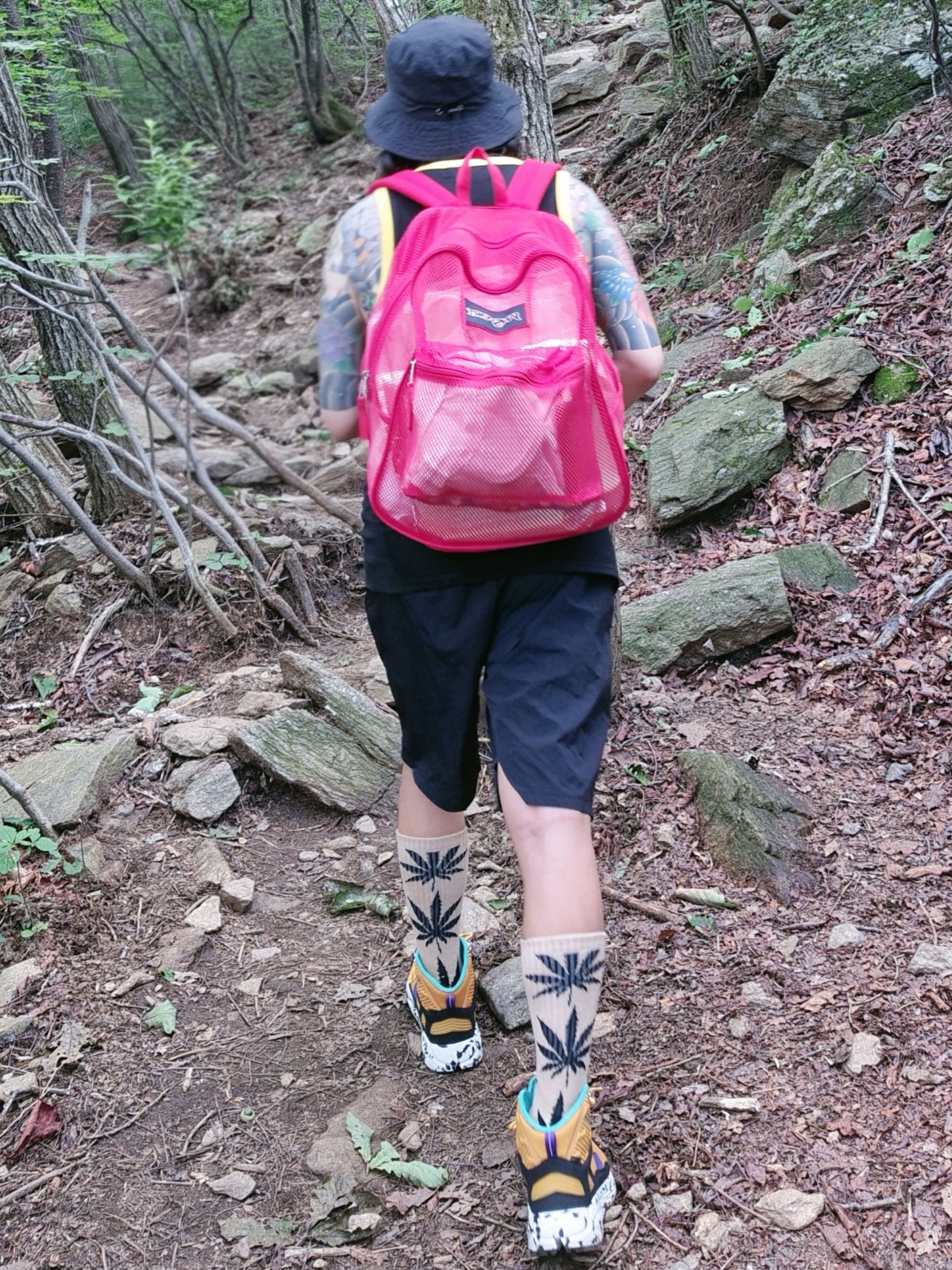 Jansport Mesh Pack Backpack Red Tape 착용 스타일 - 1