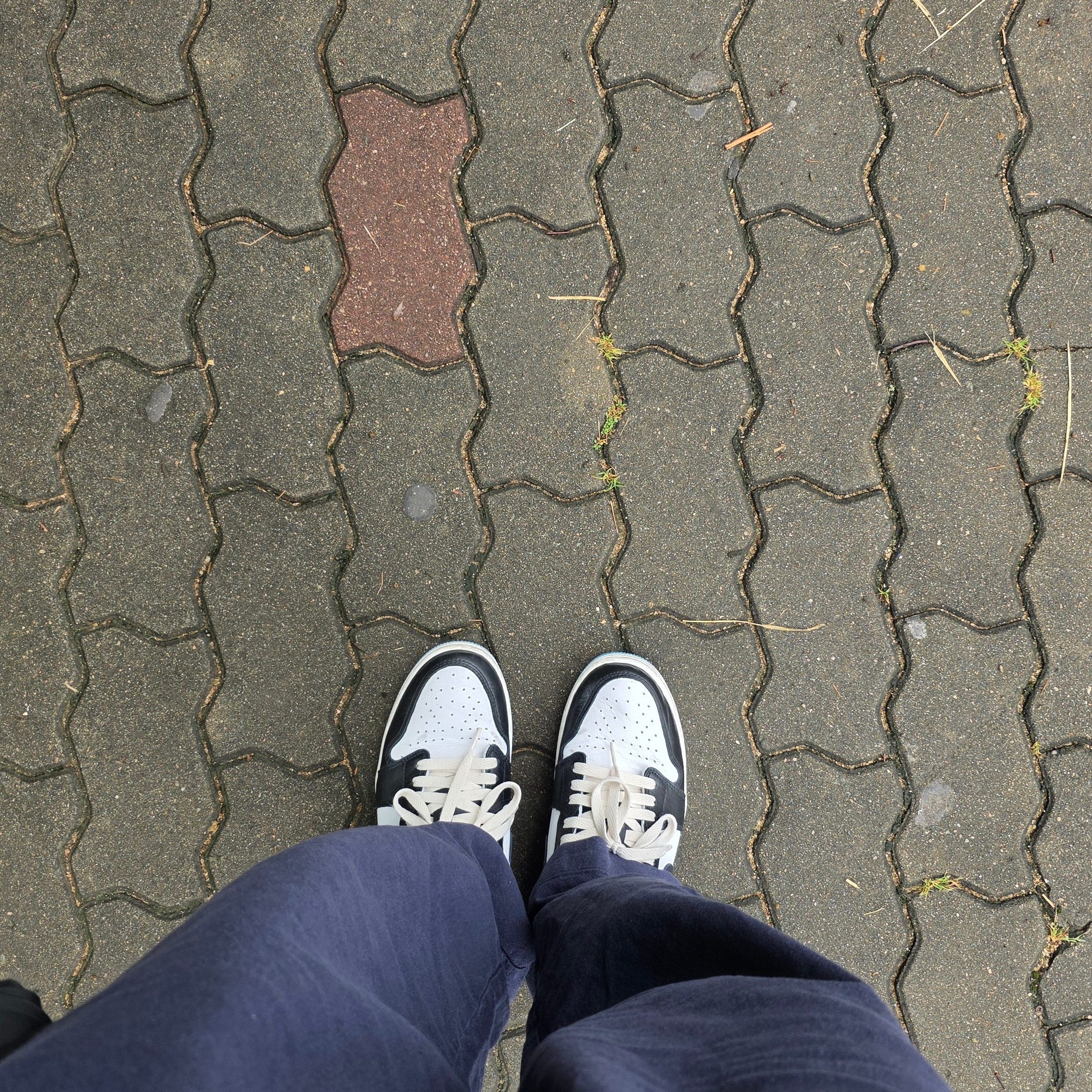 Jordan 1 Retro Low OG Black and Dark Powder Blue 착용 스타일