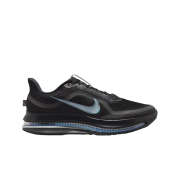 Nike Pegasus Premium Black Metallic Silver