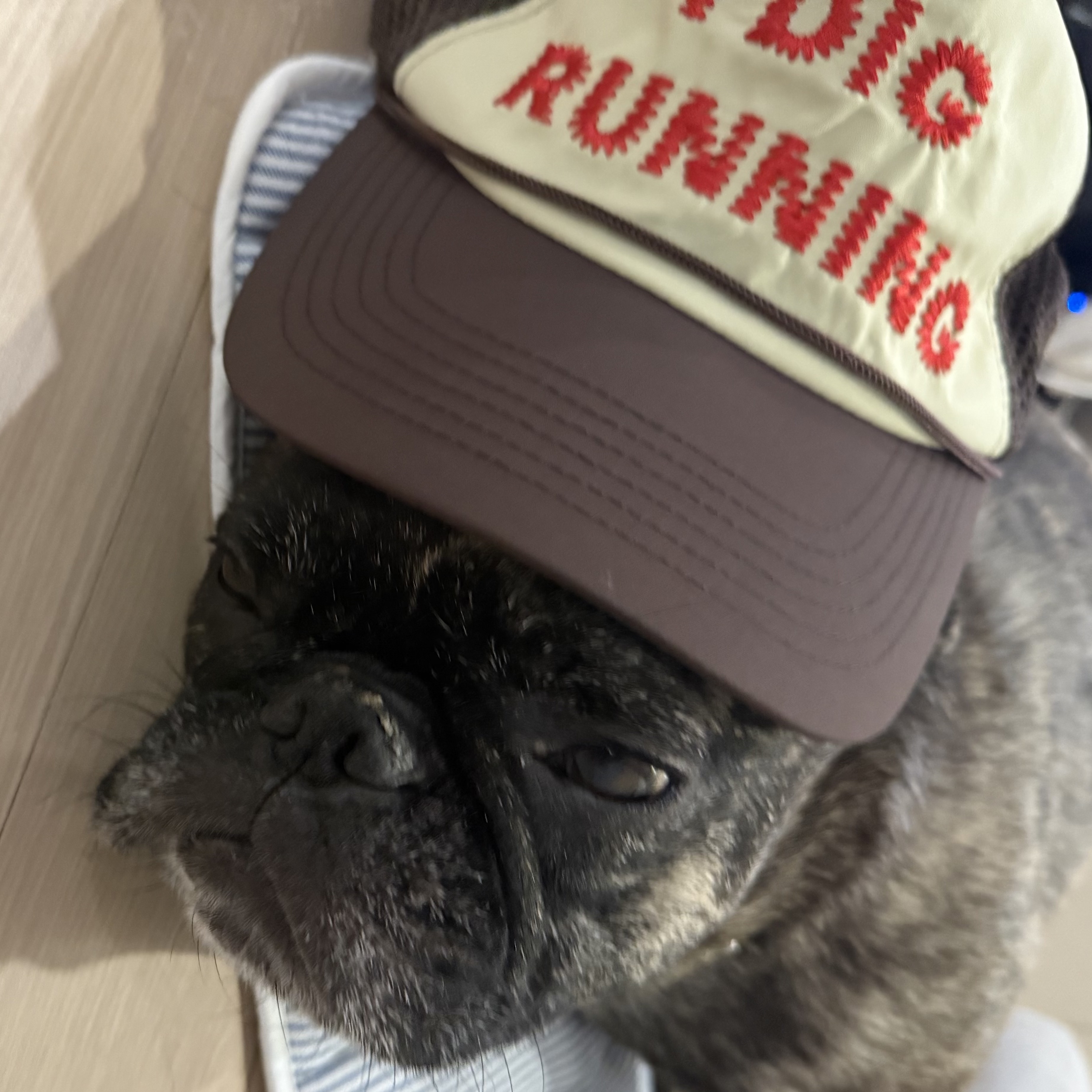 Alex Zono I Dig Running Trucker Hat OG Brown 착용 스타일
