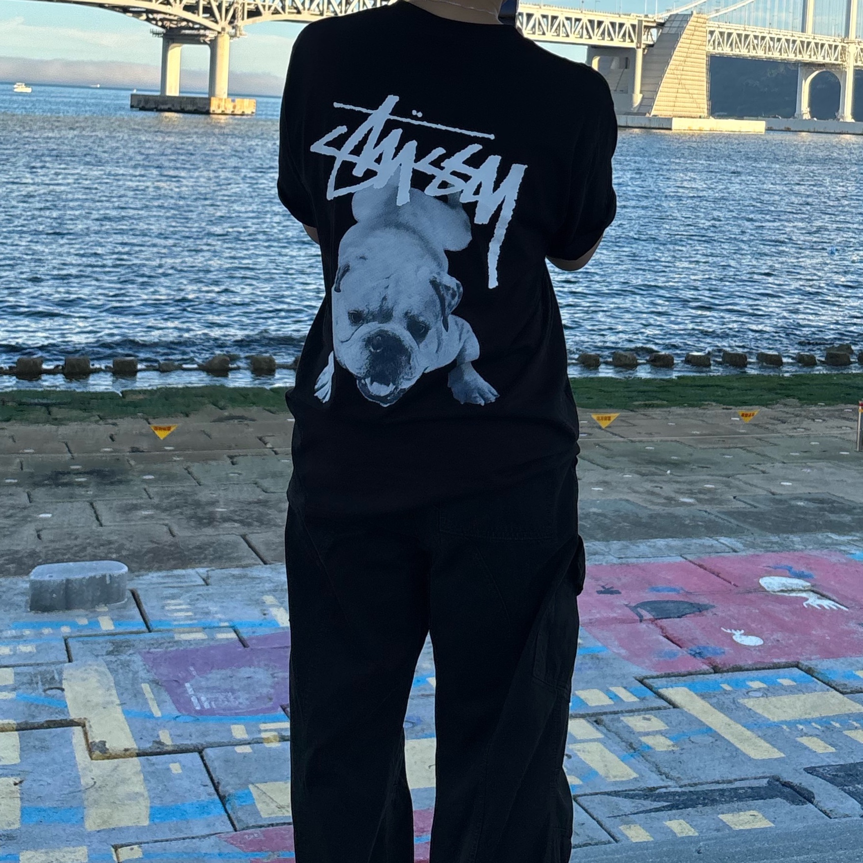 Stussy Stock Dog T-Shirt Black 착용 스타일 - 2