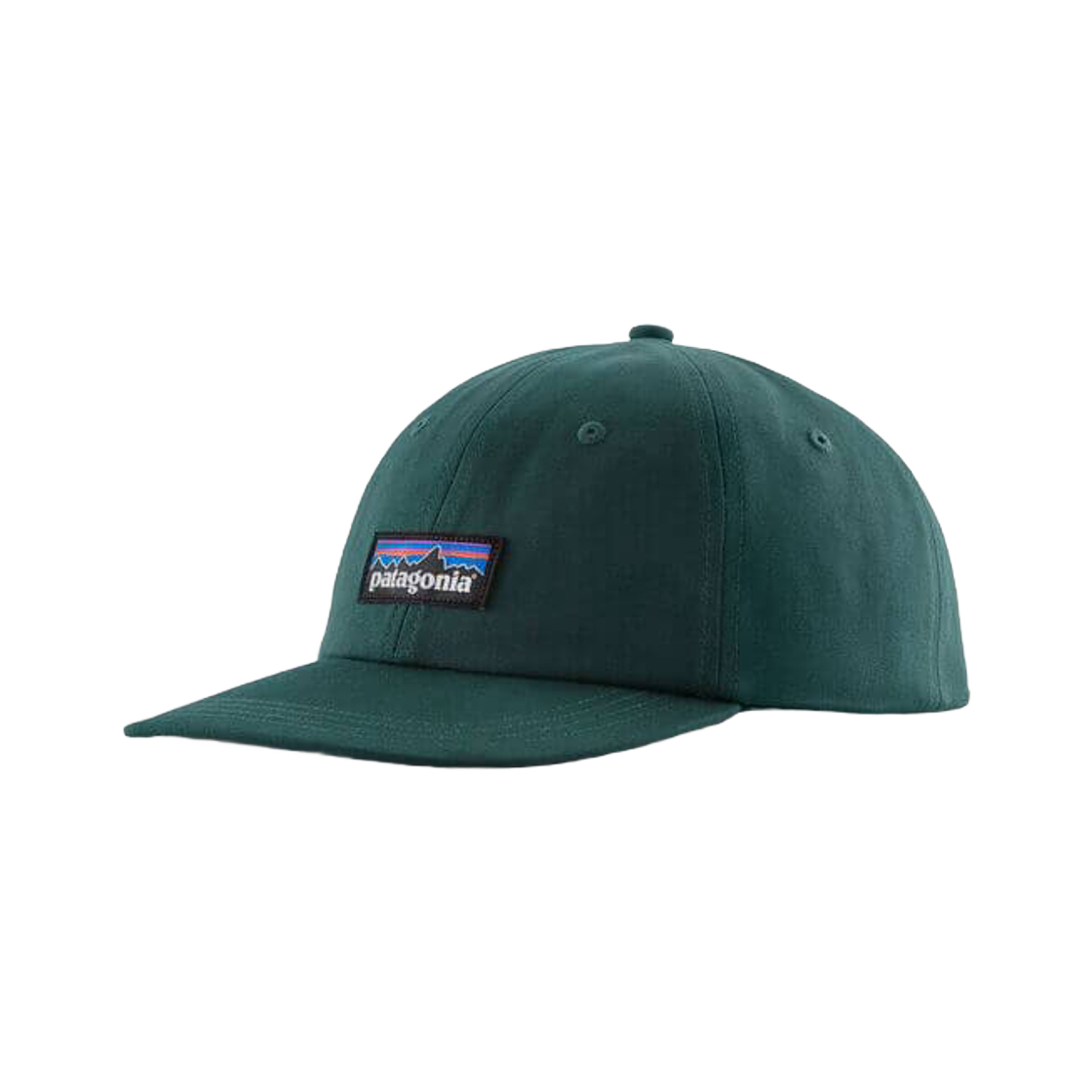 파타고니아 P-6 레이블 트래드 캡 캐스케이드 그린(Patagonia P-6 Label Trad Cap Cascade Green)