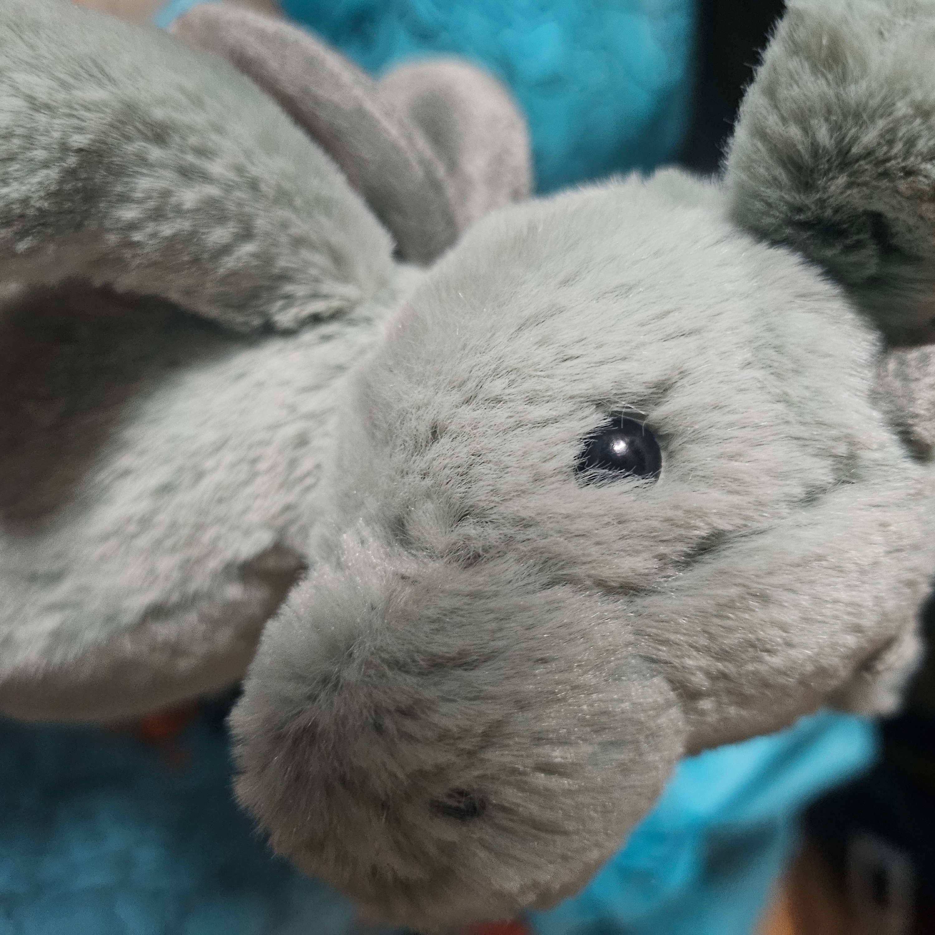 Jellycat Bashful Dragon Small Sage 착용 스타일
