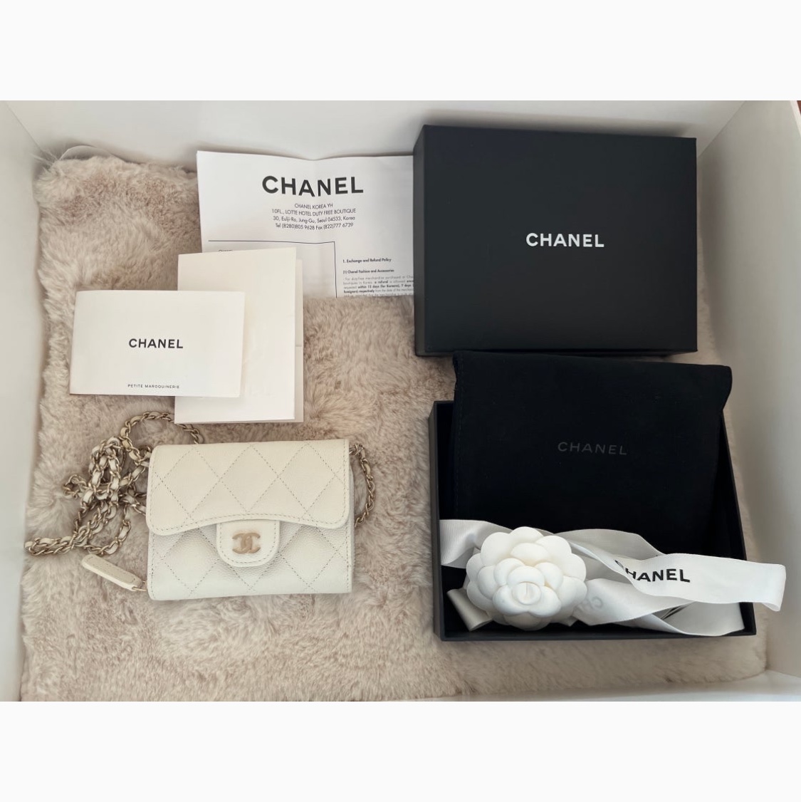 Chanel Classic Zipped Flap Card Holder with Chain Grained Calfskin & Gold Light Beige 착용 스타일