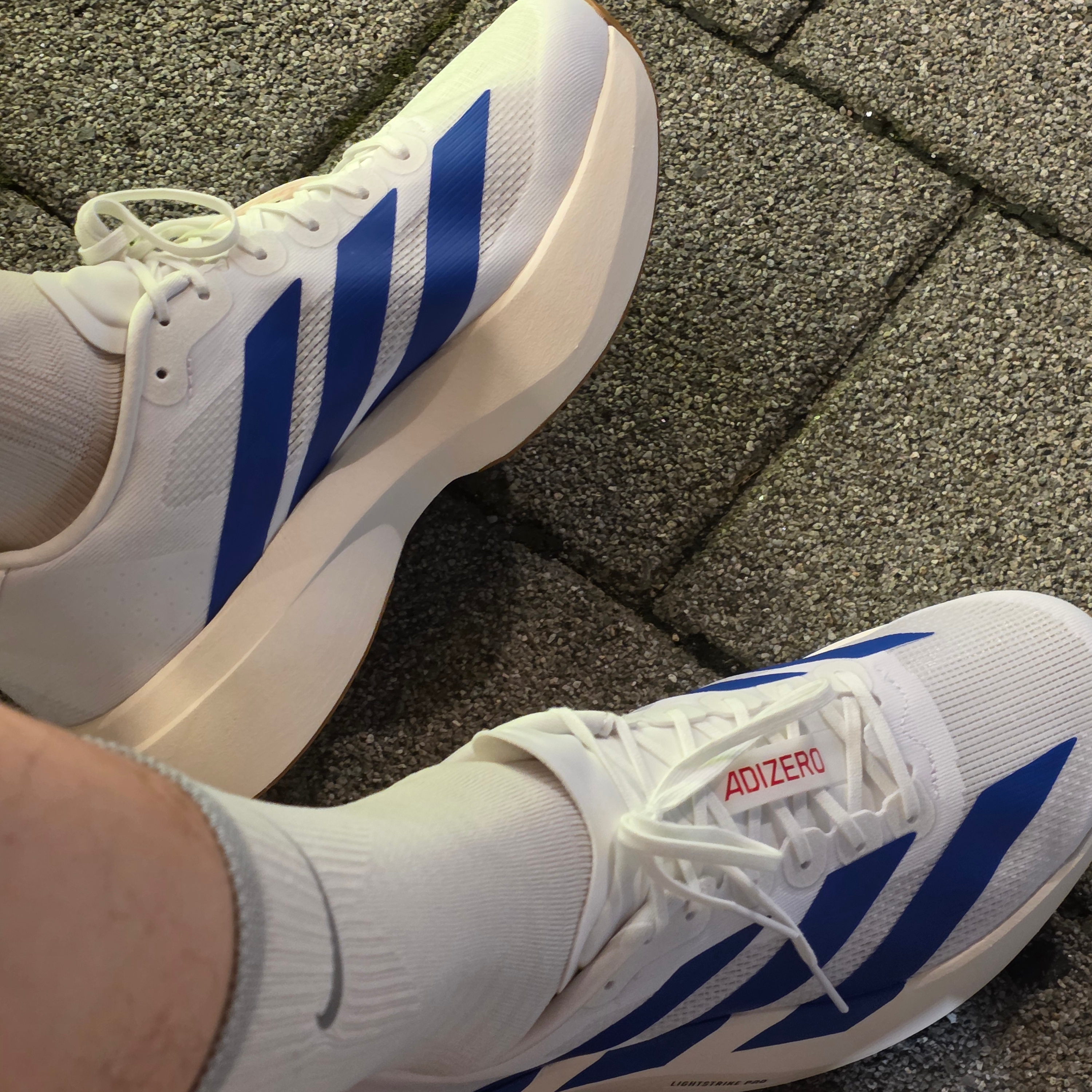 Adidas Adizero EVO SL Cloud White Royal Blue 착용 스타일 - 1