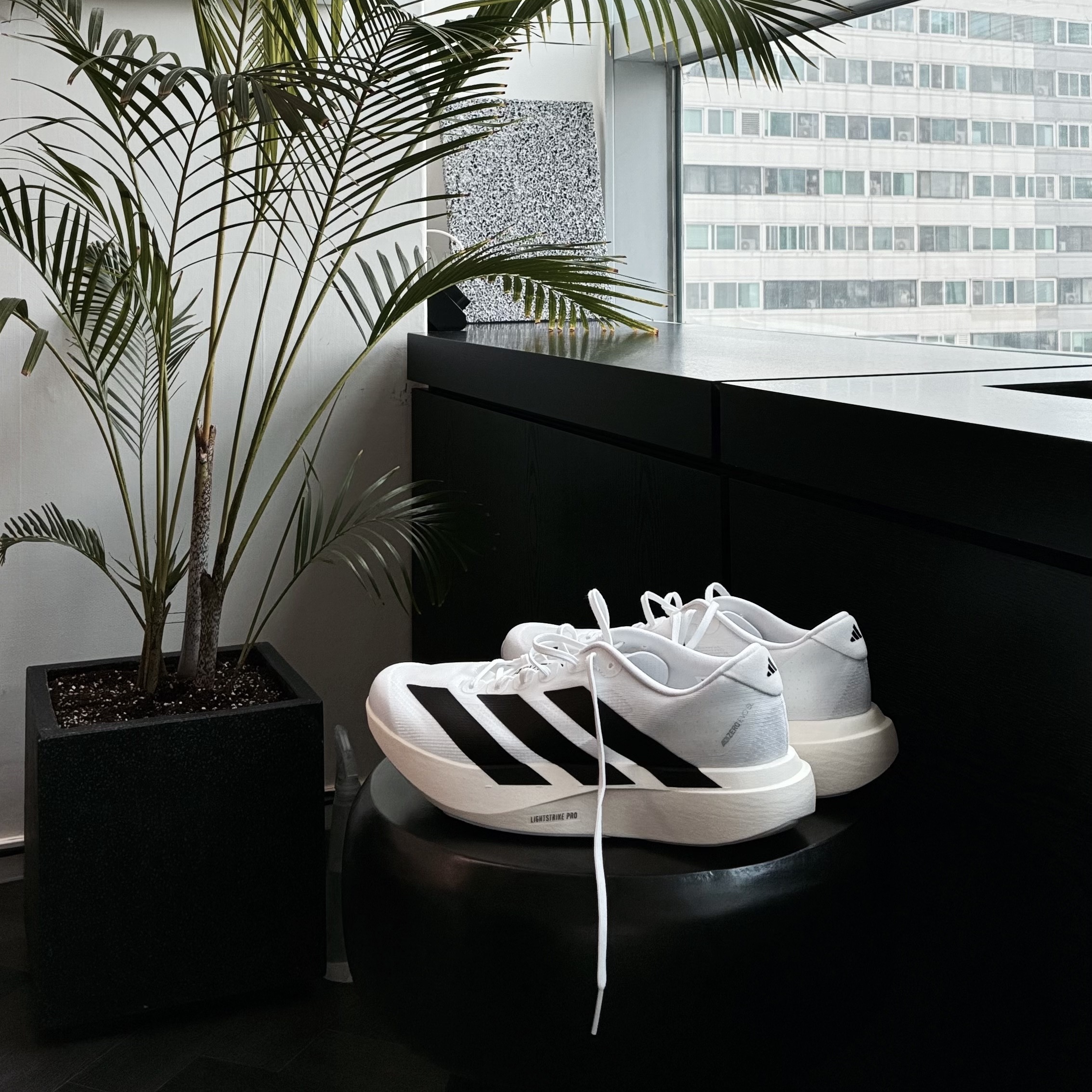 Adidas Adizero EVO SL Cloud White Core Black 착용 스타일