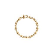 Tiffany & Co. Tiffany Hardwear Small Link Bracelet Yellow Gold