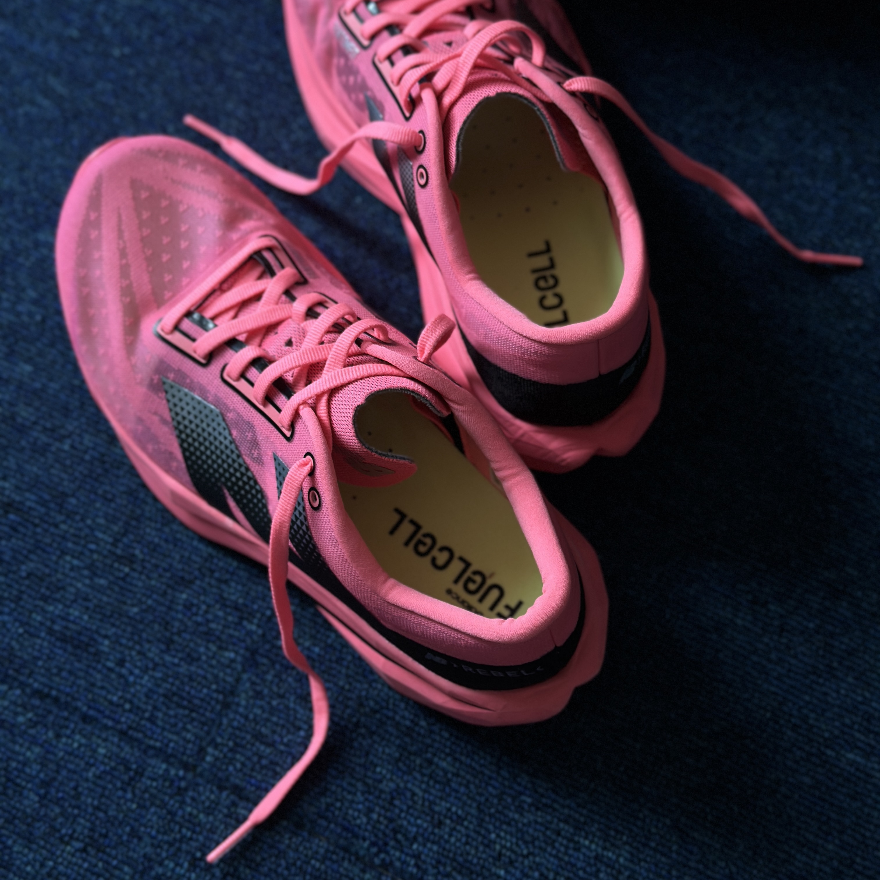 ์์
์ด๋ฏธ์ง