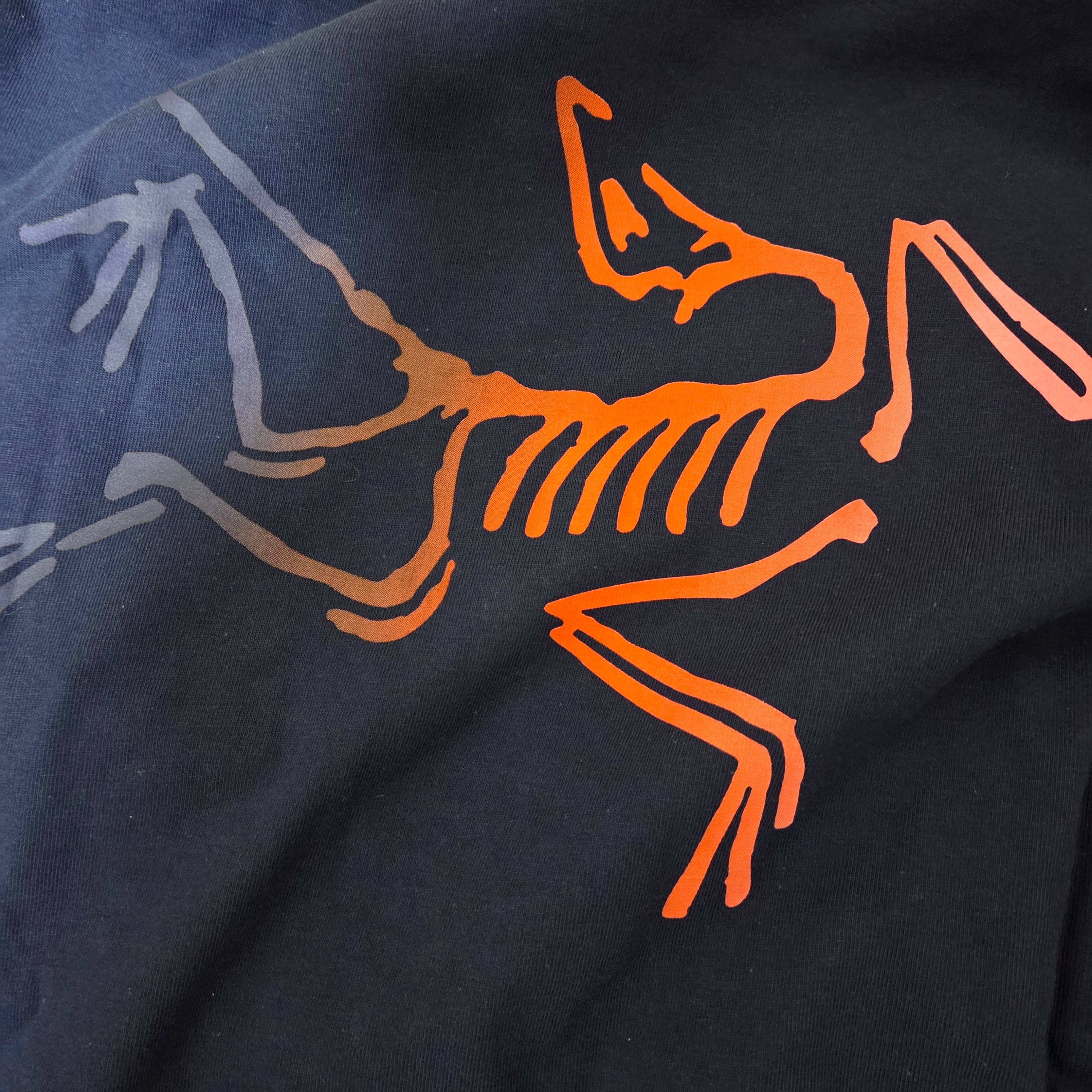 Arc'teryx Kragg Cotton Logo SS T-Shirt Soulsonic Dynasty 착용 스타일