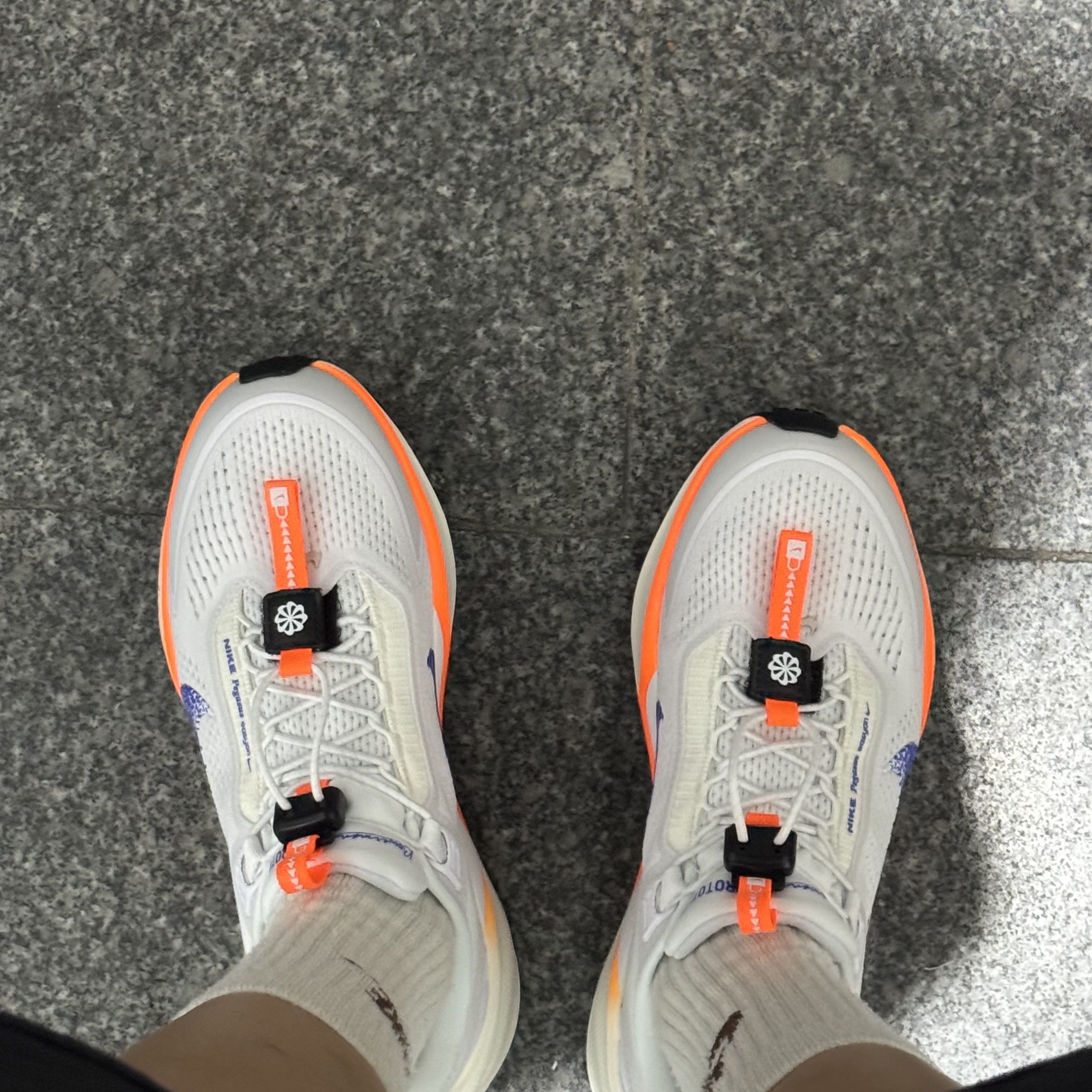 (W) Nike Air Zoom Pegasus EasyOn Blueprint 착용 스타일 - 2