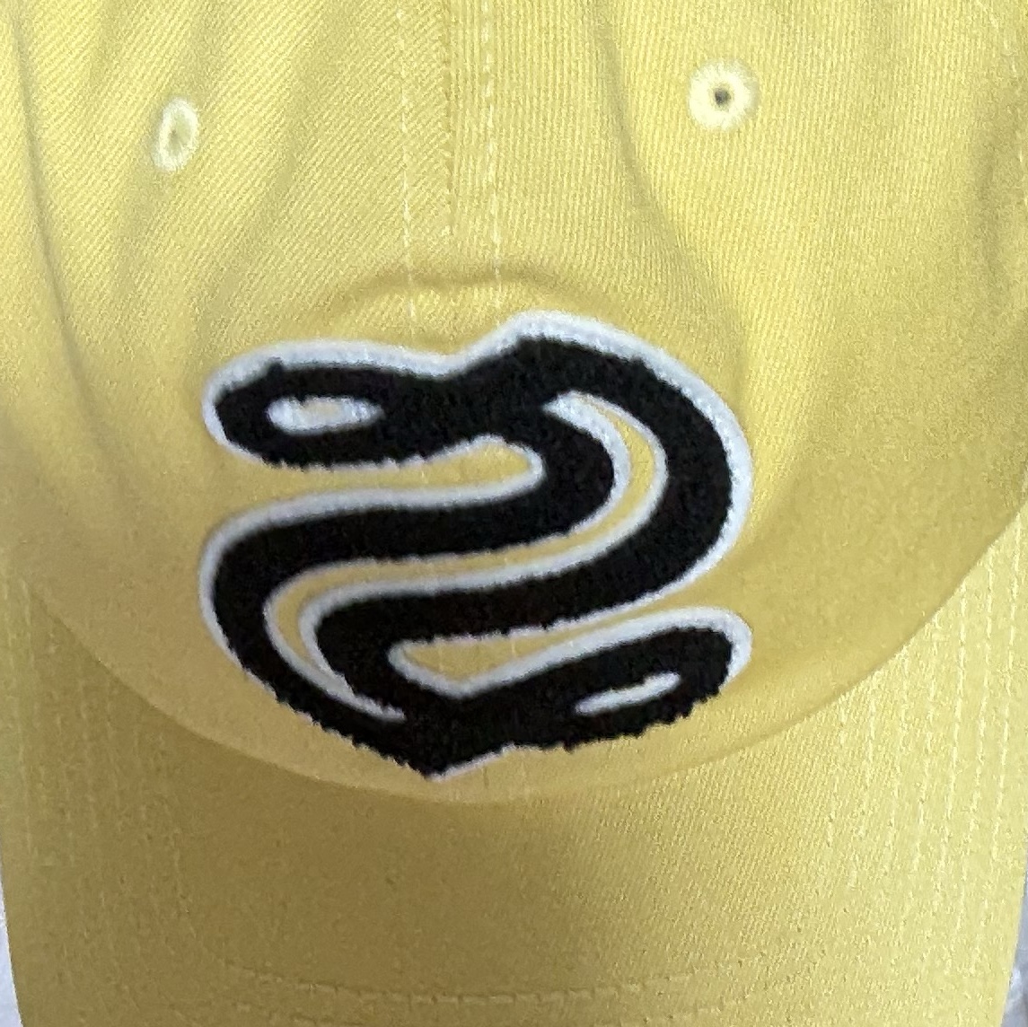 Stussy Mid-Depth Chenille S Snapback Yellow 착용 스타일