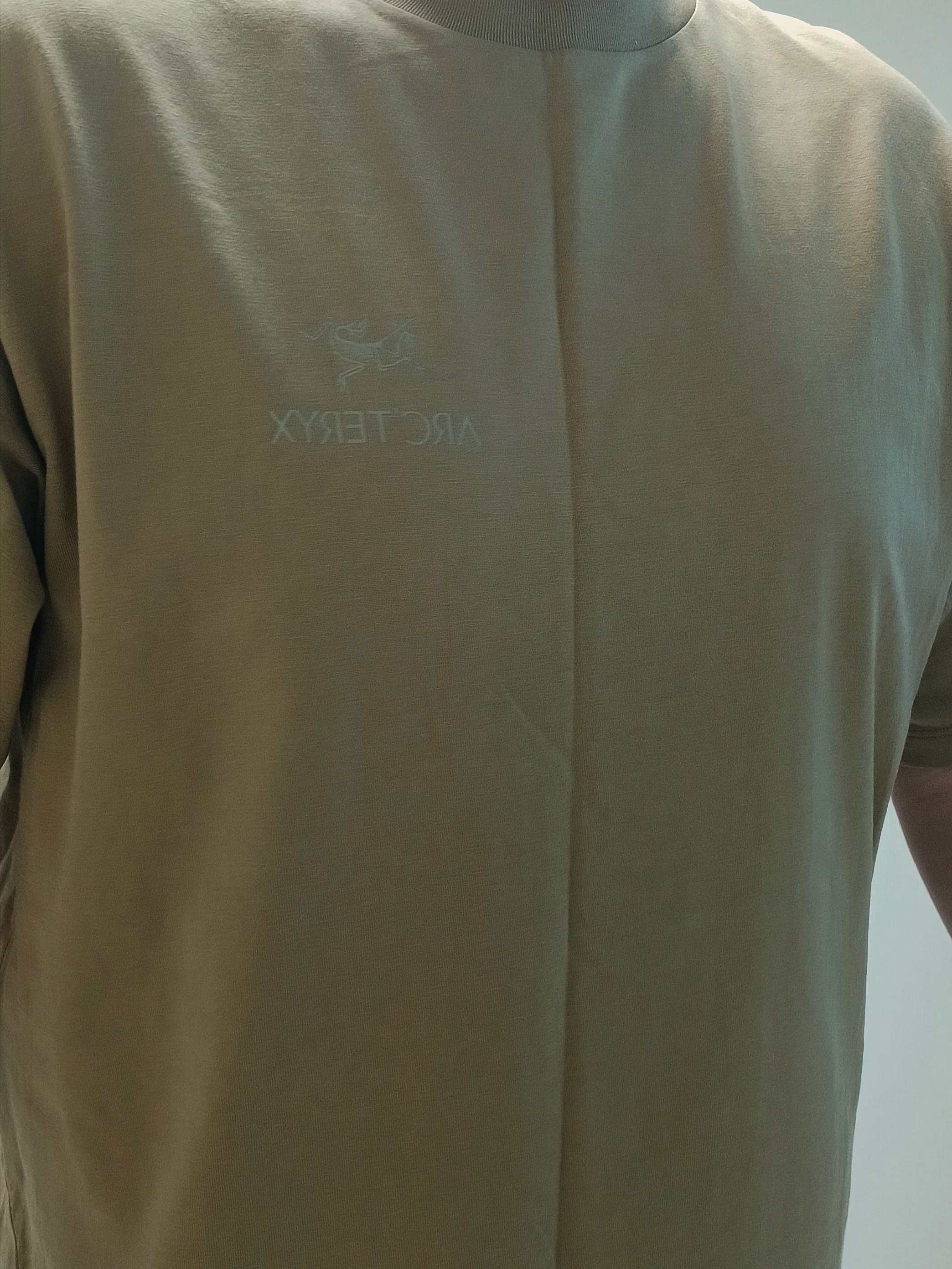 Arc'teryx Kragg SL Cotton Bird Word SS T-Shirt Canvas, Lululemon Pace Breaker Linerless Shorts 5 Inch Black 착용 스타일 - 7