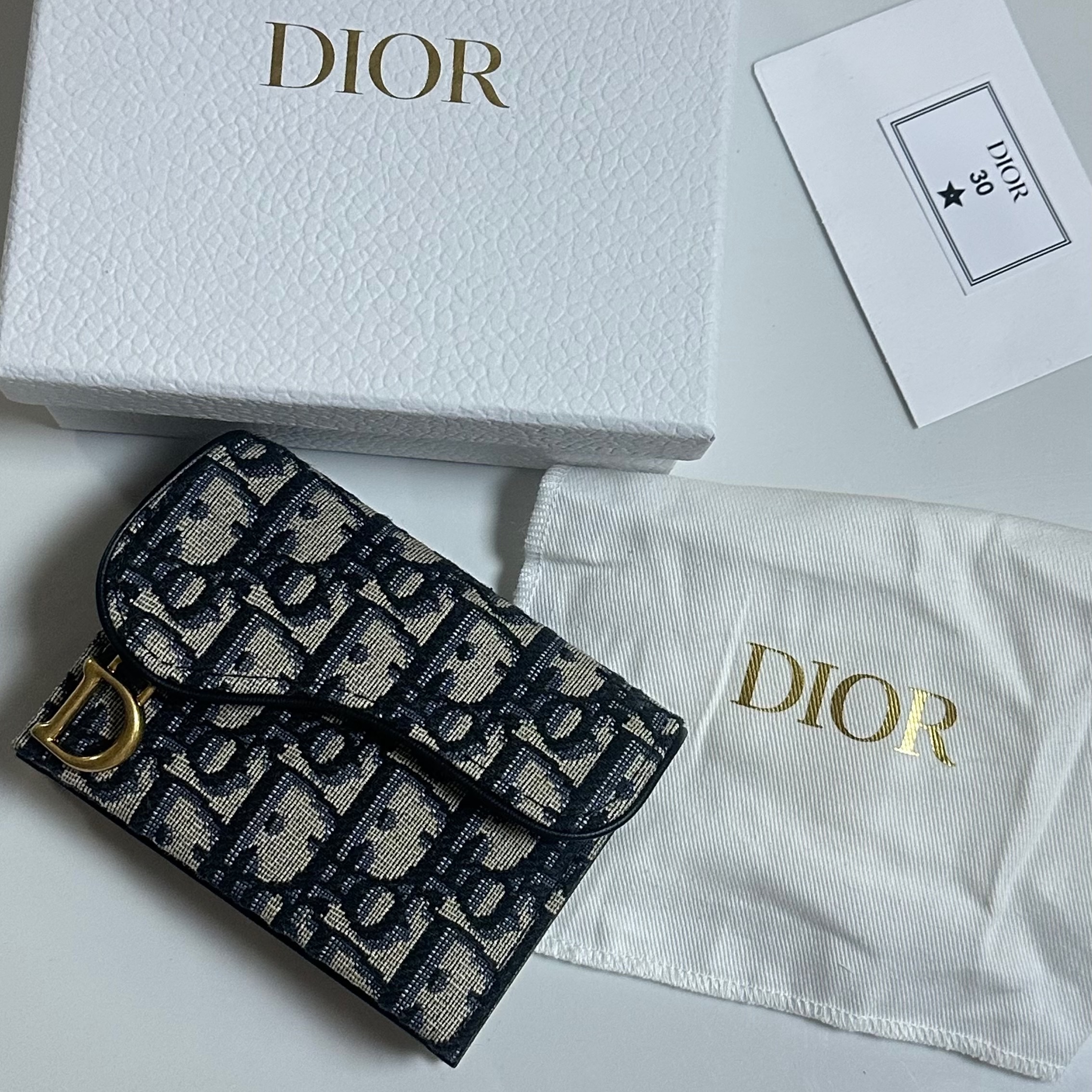 Dior Saddle 5-Gusset Card Holder Blue Dior Oblique Jacquard 착용 스타일