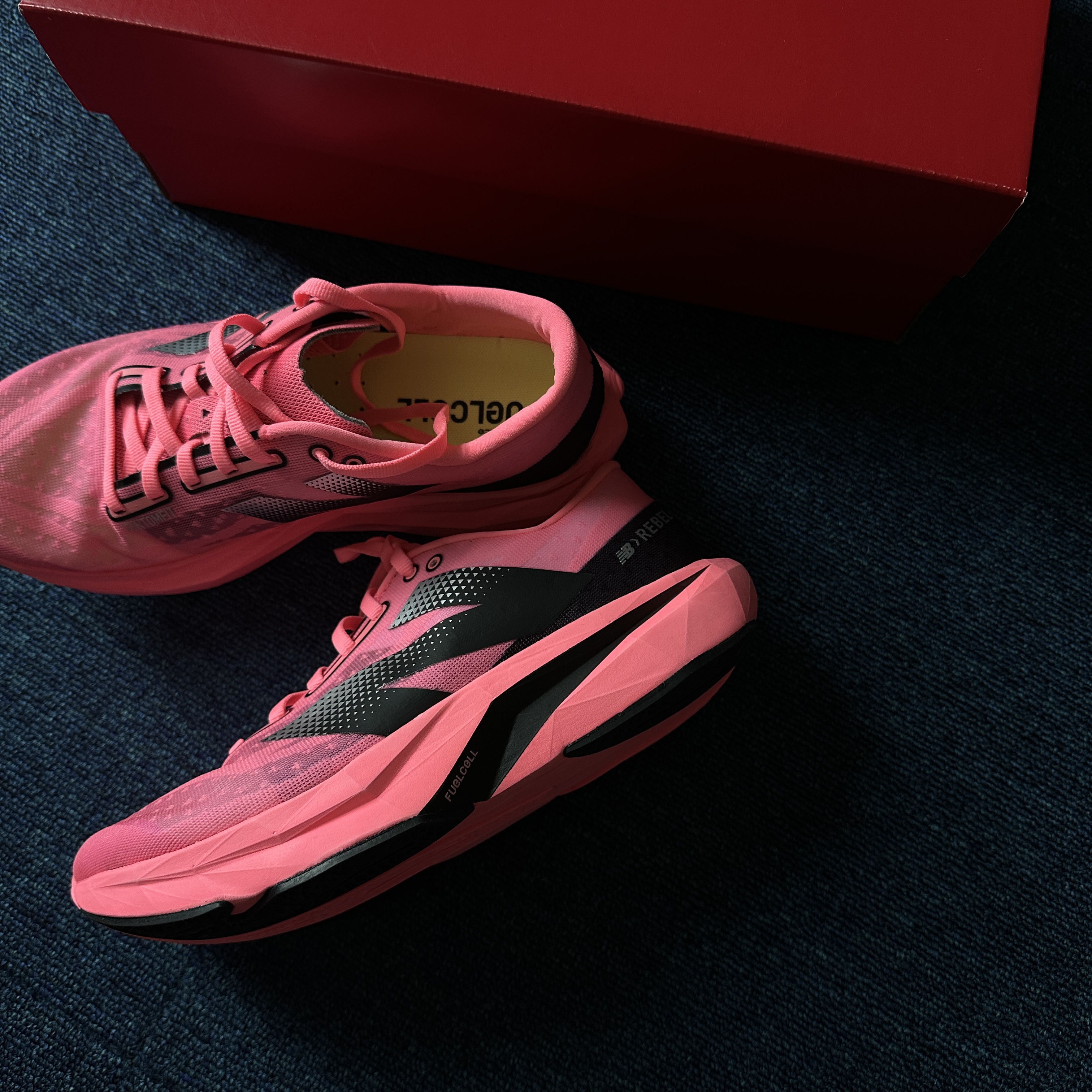 ์์
์ด๋ฏธ์ง