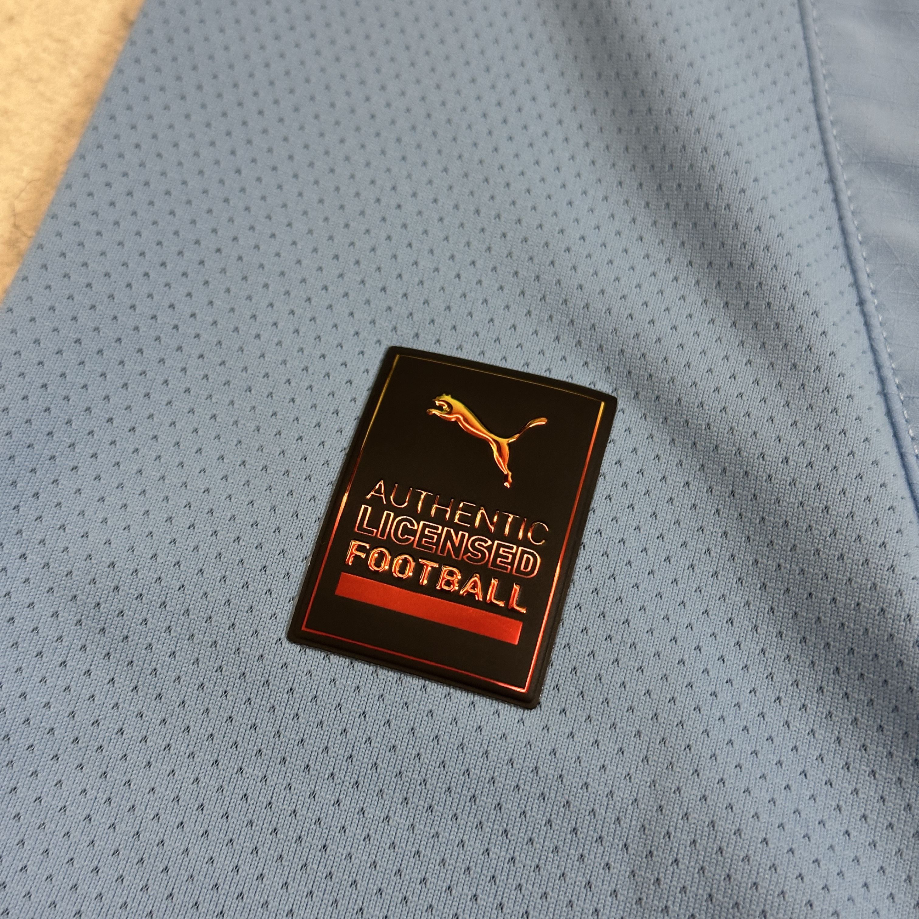 Puma Manchester City 2024/25 Home Authentic Jersey Team Light Blue (Non Marking Ver.) 착용 스타일 - 2