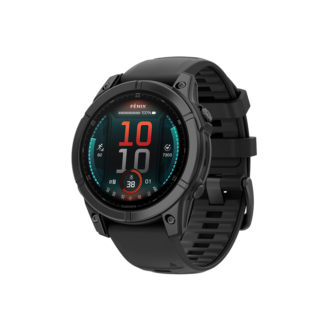 0100302514 Garmin fenix E 47mm Slate Gray Steel Black
