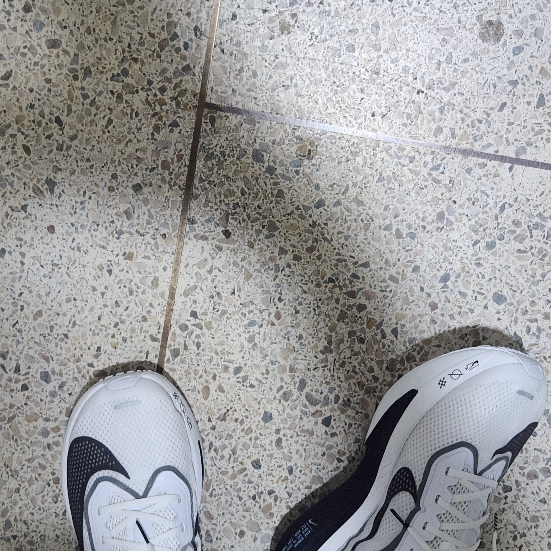 Nike Zoom Fly 6 White Smoke Grey 착용 스타일