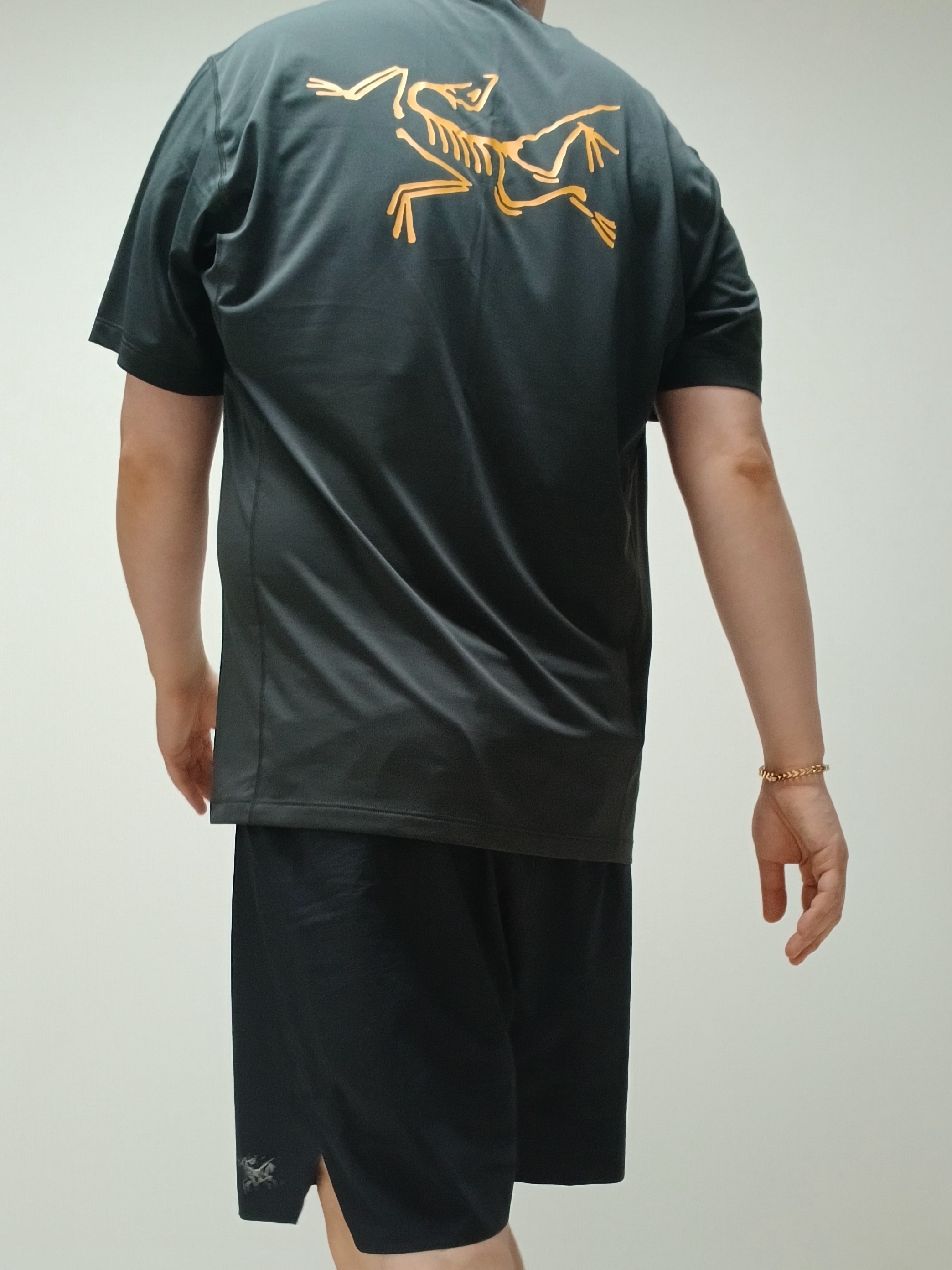 Arc'teryx Motus Arcword Crew SS T-Shirt Black Heather, Arc'teryx Norvan Liner 7 Inch Shorts Black 착용 스타일 - 6