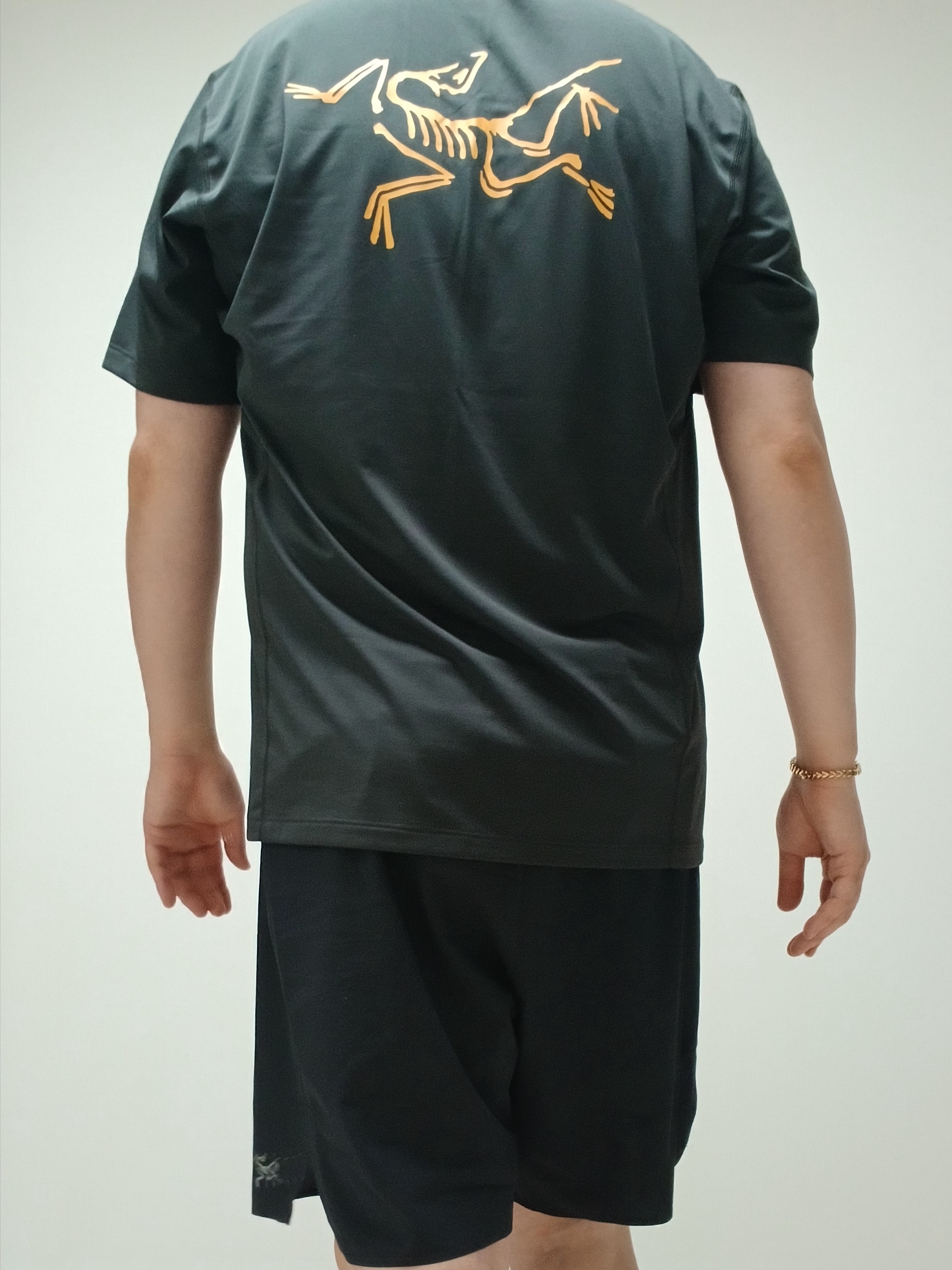 Arc'teryx Motus Arcword Crew SS T-Shirt Black Heather, Arc'teryx Norvan Liner 7 Inch Shorts Black 착용 스타일 - 7