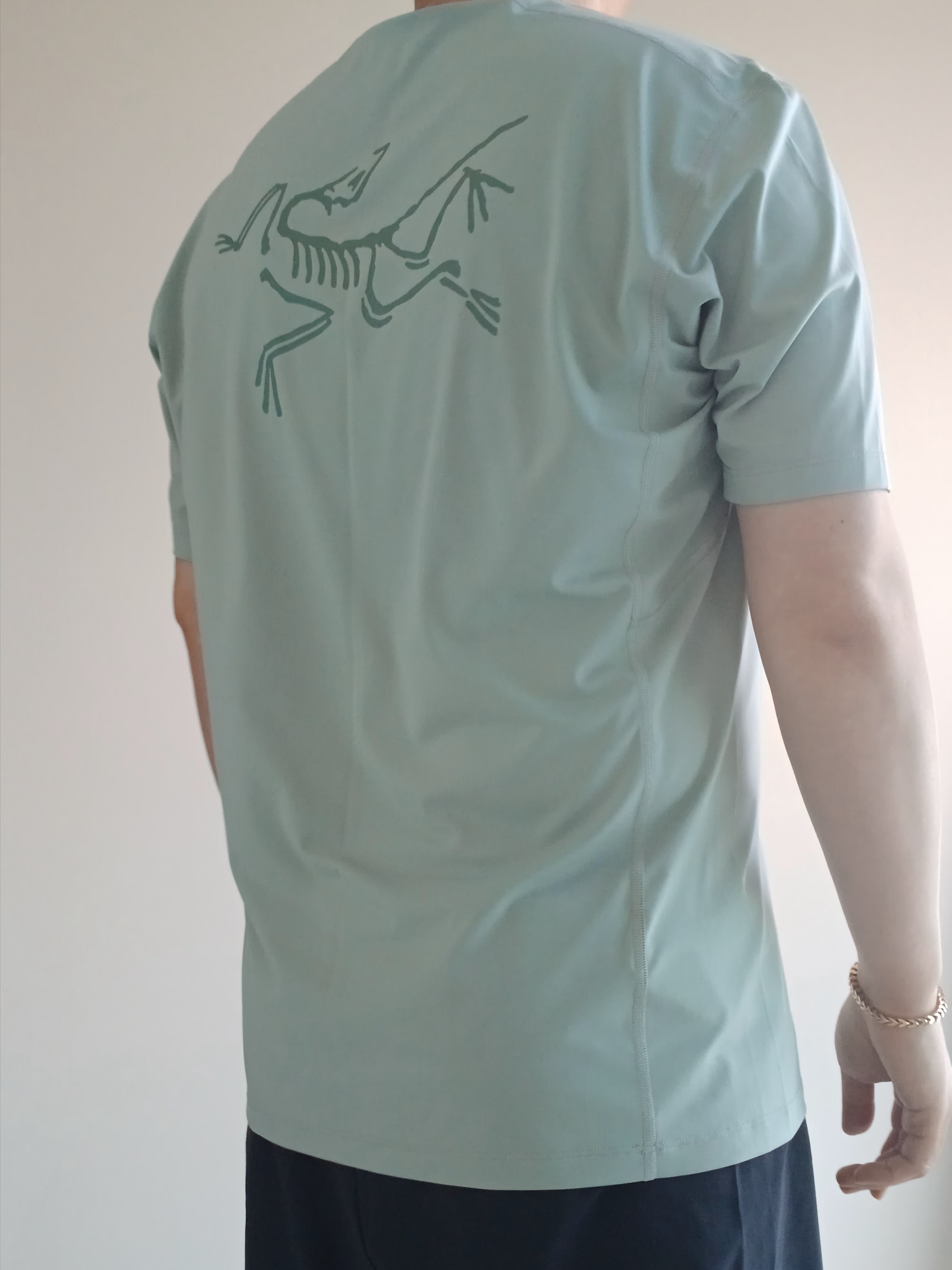 Arc'teryx Motus Arcword Crew SS T-Shirt Stone Green Heather, Arc'teryx Heliad 6 Crossbody Bag Black 착용 스타일 - 10