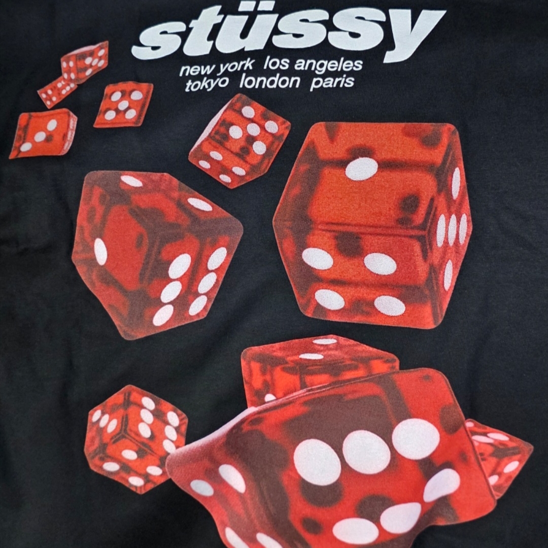 Stussy Rollers T-Shirt Black 착용 스타일 - 3