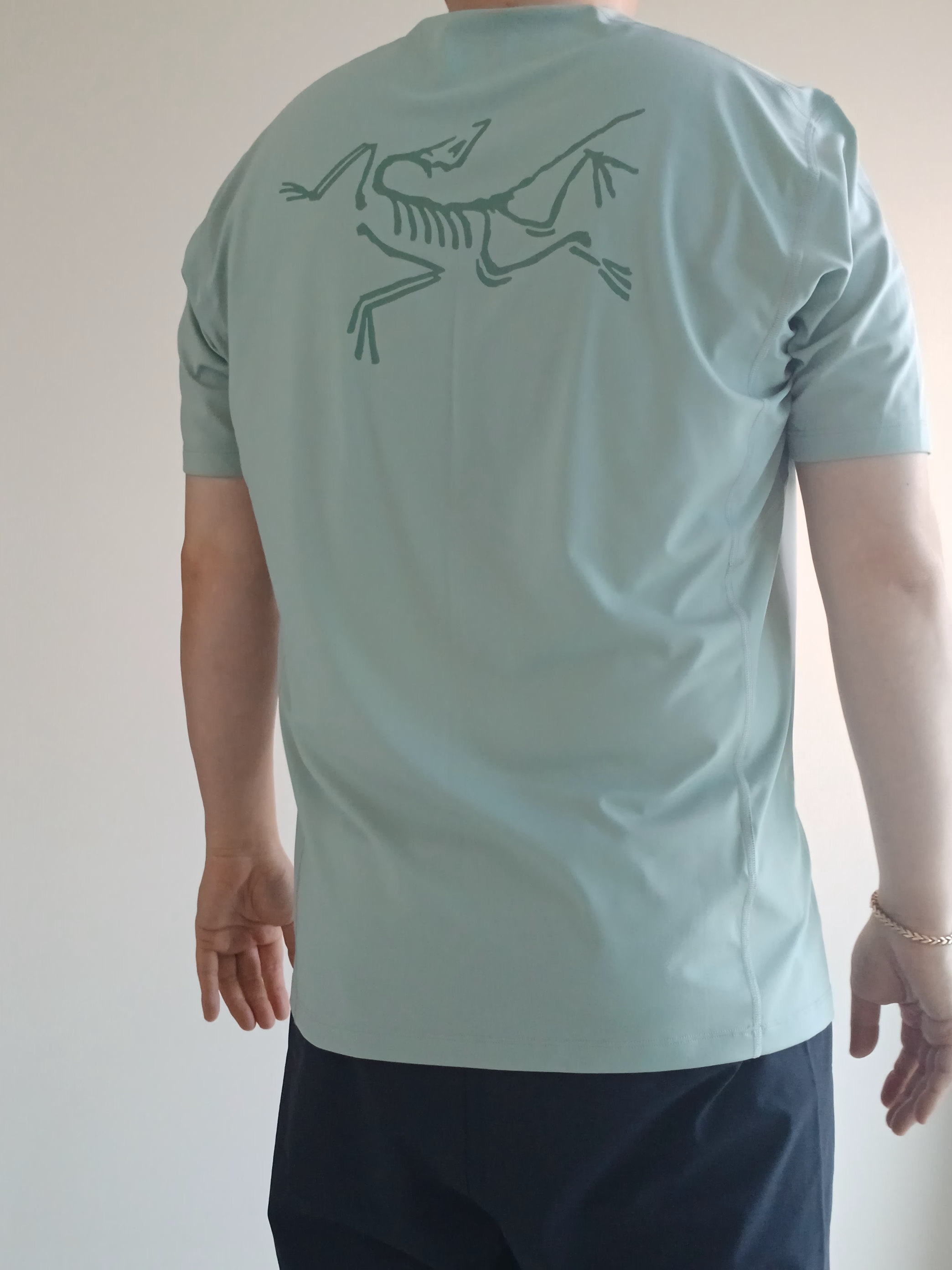 Arc'teryx Motus Arcword Crew SS T-Shirt Stone Green Heather, Arc'teryx Heliad 6 Crossbody Bag Black 착용 스타일 - 9