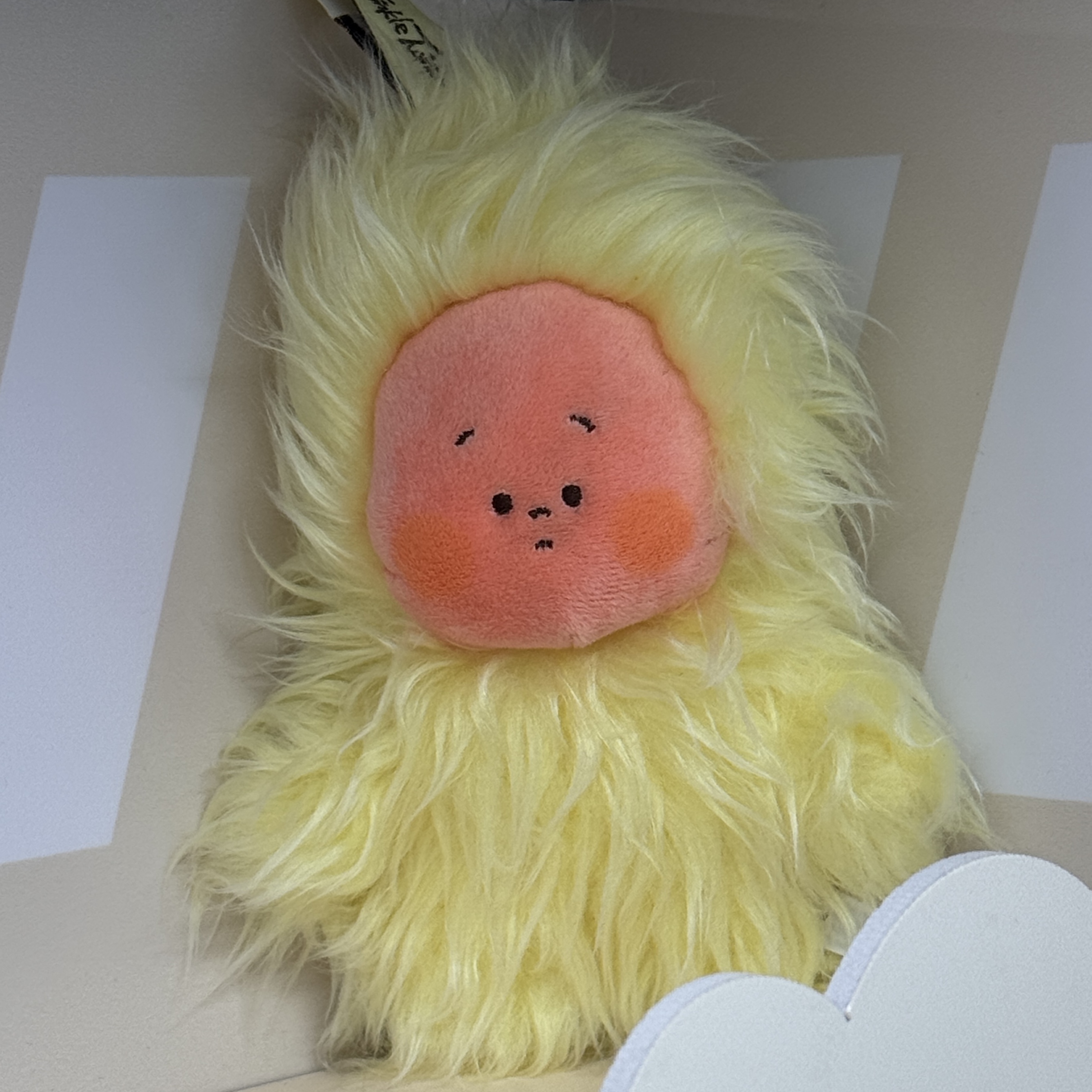 Pop Mart Twinkle Twinkle Sweet Dreams Forecast Series Plush Pendant Mess In Wind (Opened Case) 착용 스타일