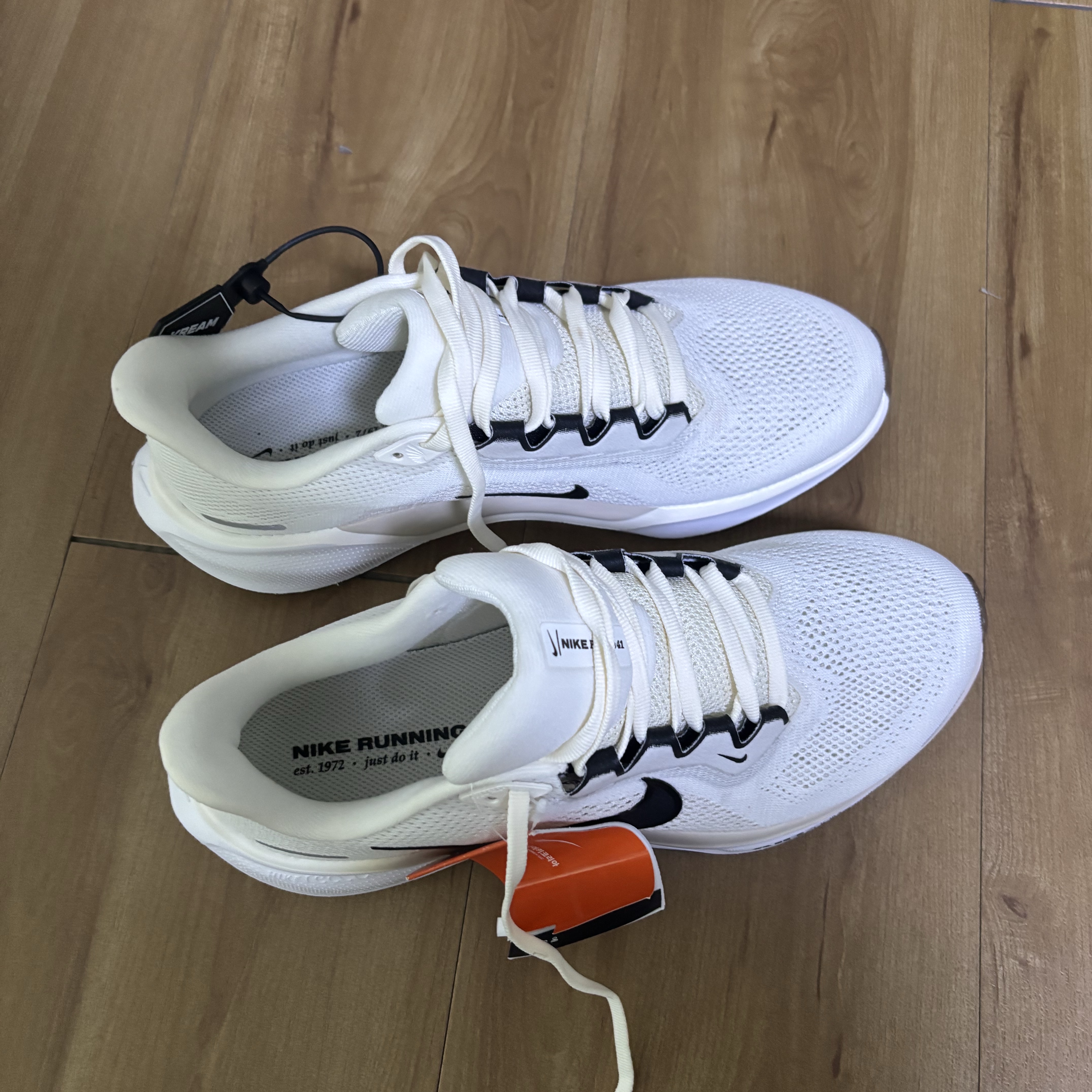 Nike Pegasus 41 Sail Phantom 착용 스타일