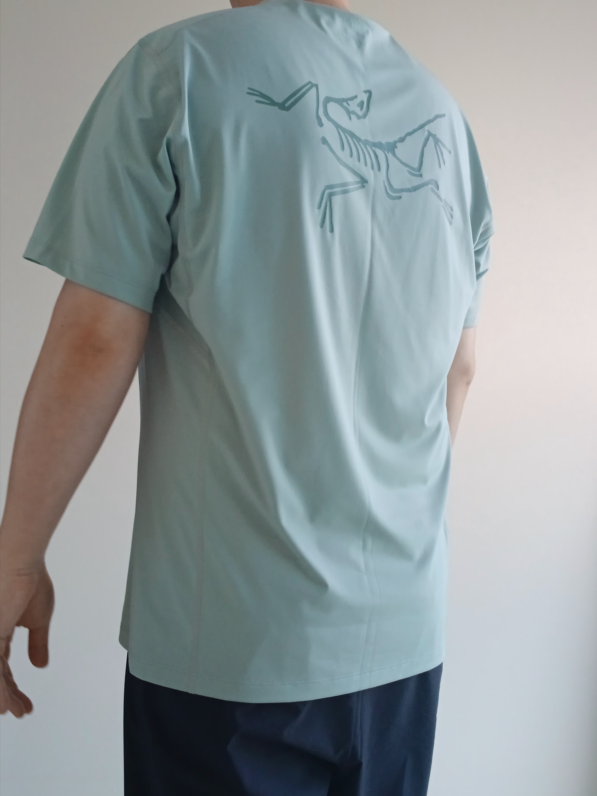 Arc'teryx Motus Arcword Crew SS T-Shirt Stone Green Heather, Arc'teryx Heliad 6 Crossbody Bag Black 착용 스타일 - 1