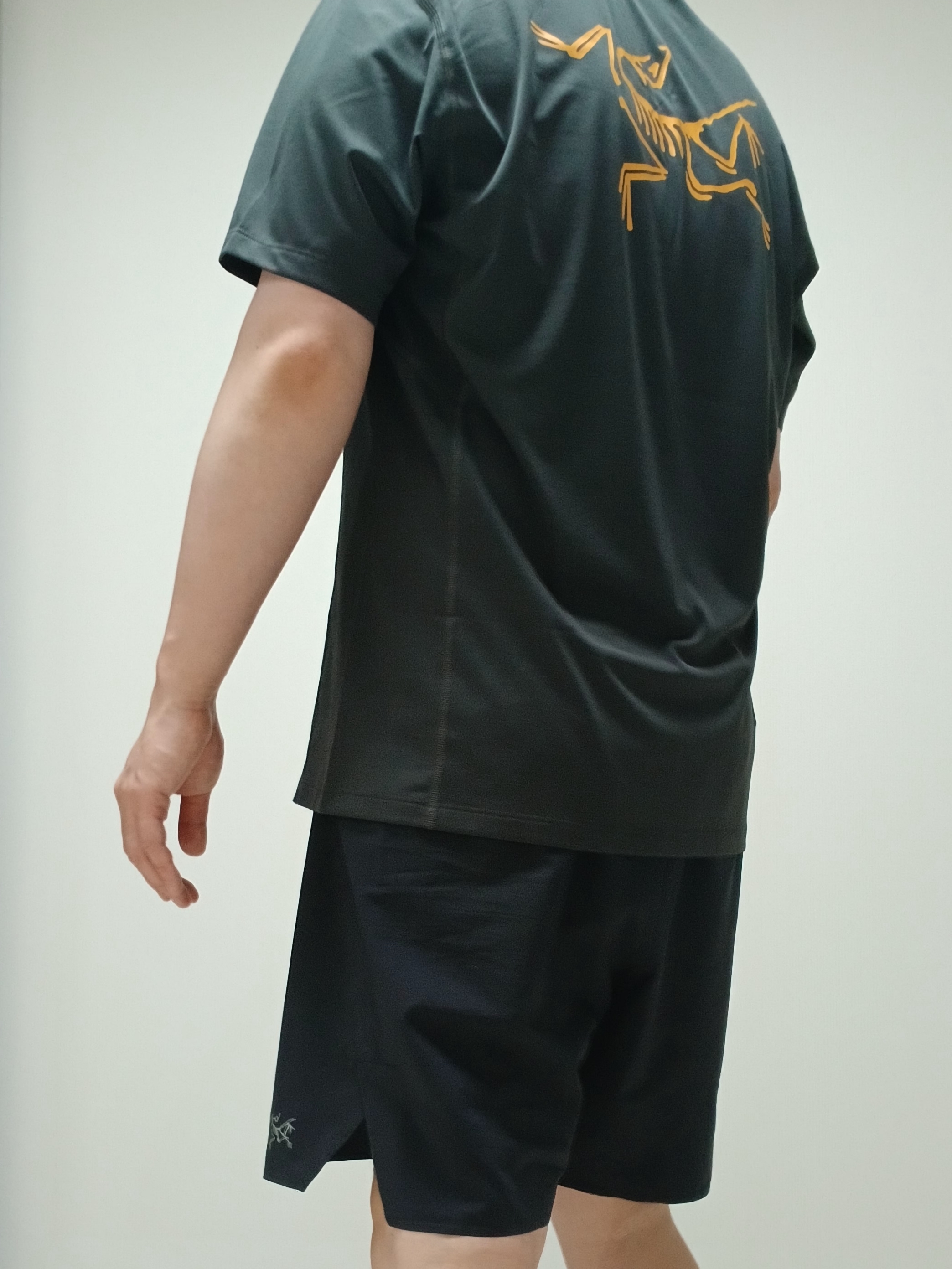 Arc'teryx Motus Arcword Crew SS T-Shirt Black Heather, Arc'teryx Norvan Liner 7 Inch Shorts Black 착용 스타일 - 8