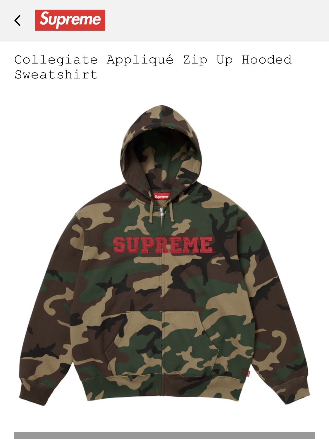 Supreme Fuckin Blowout T-Shirt Brown - 25FW, Supreme Collegiate Applique Zip Up Hooded Sweatshirt Woodland Camo - 25FW 착용 스타일 - 2