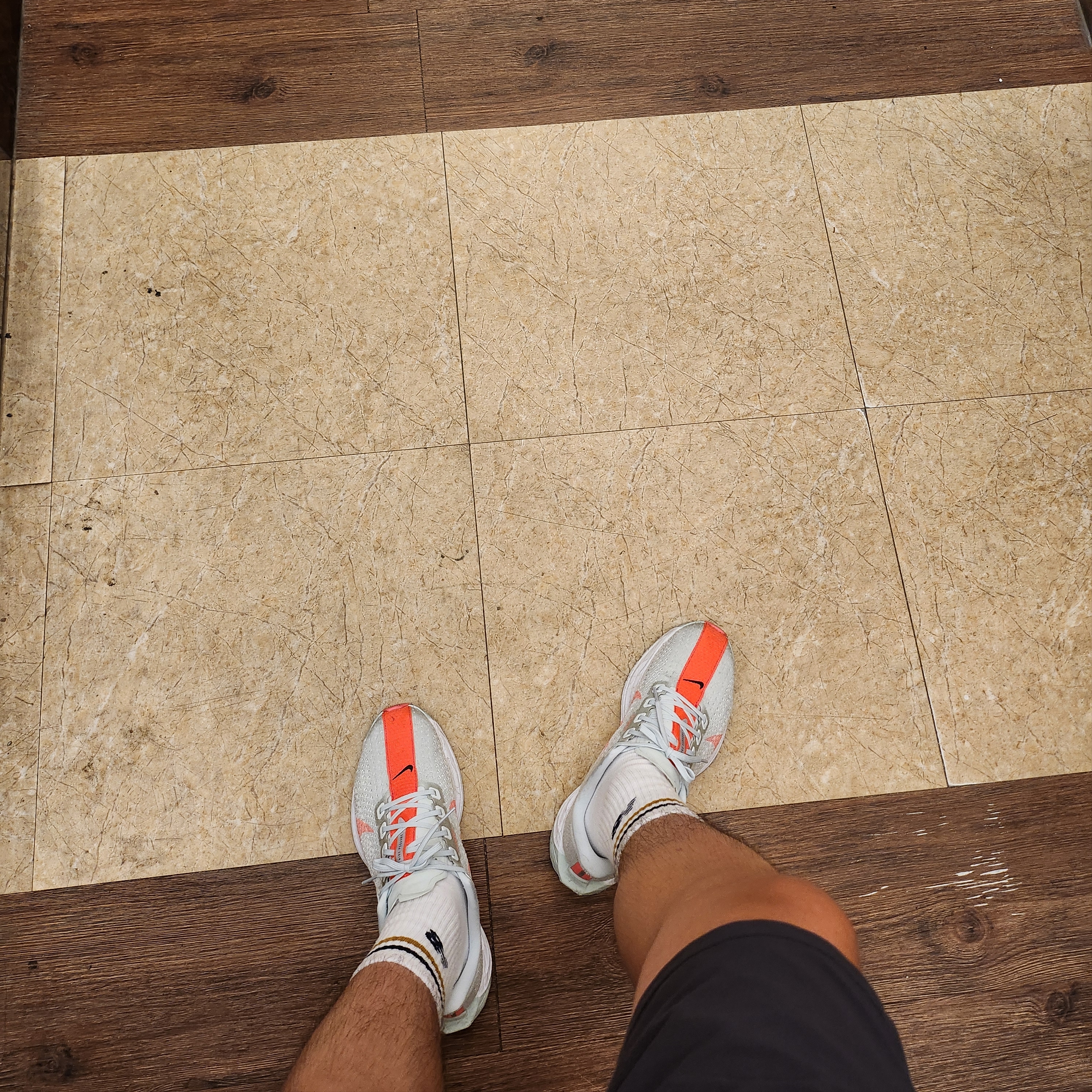 Nike Pegasus Plus Barely Grey Hot Punch 착용 스타일