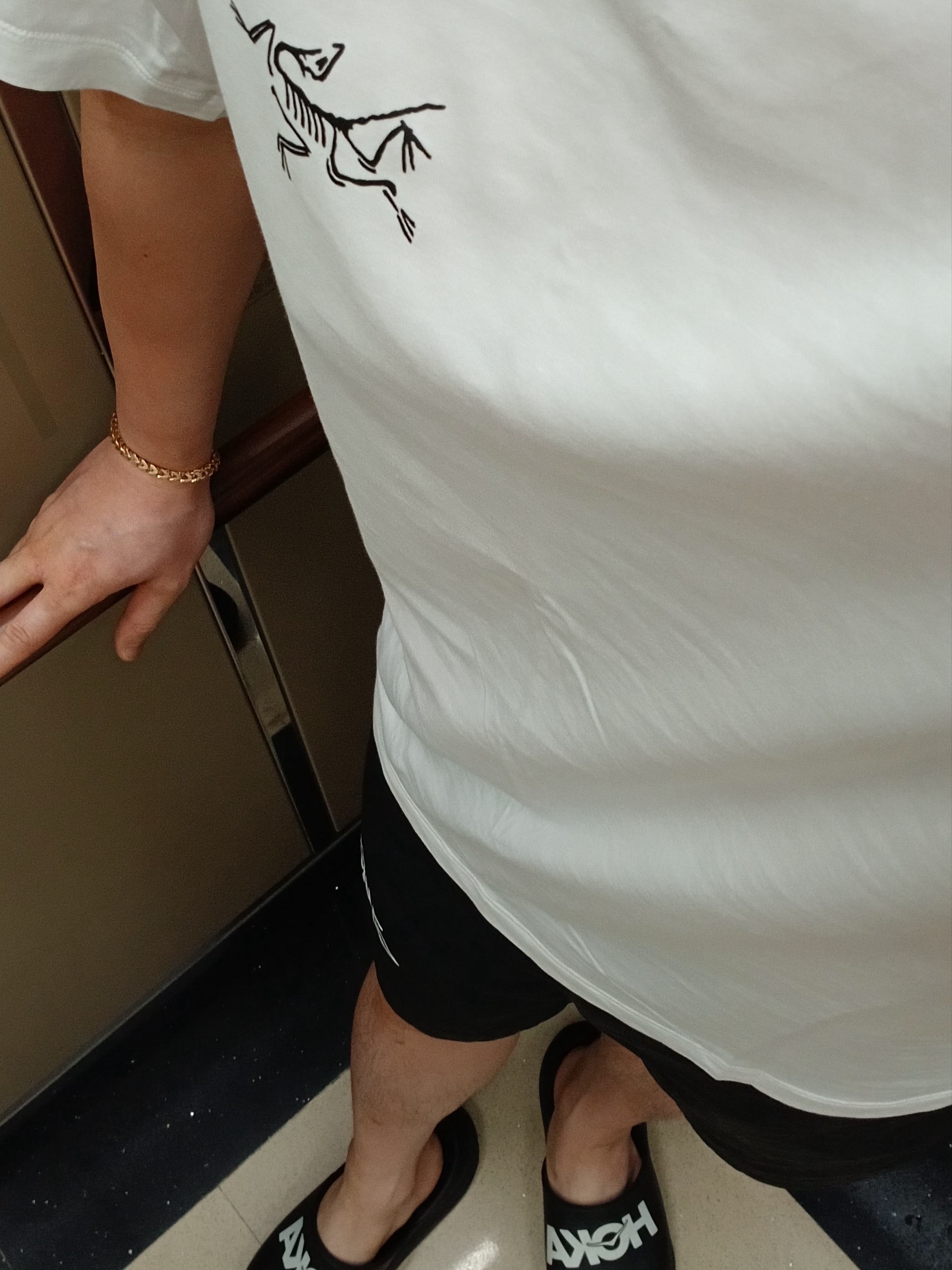 Arc'teryx Arc'Multi Bird Logo SS T-Shirt White Light, Nike x Stussy Shorts Black (FJ9167-010) 착용 스타일 - 4