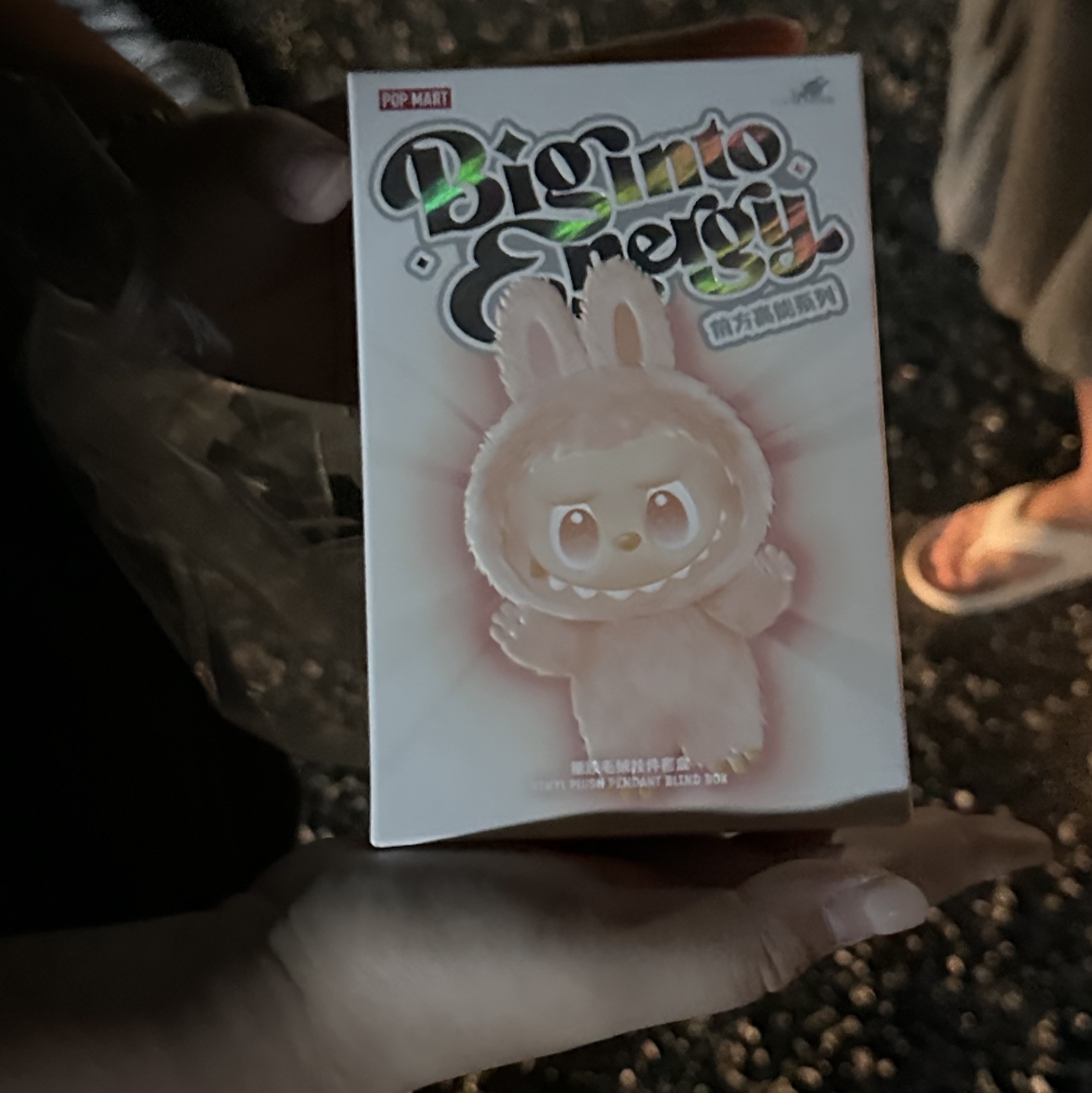 Pop Mart Labubu The Monsters Highlight Series Sealed Case (1 Blind Box) 착용 스타일