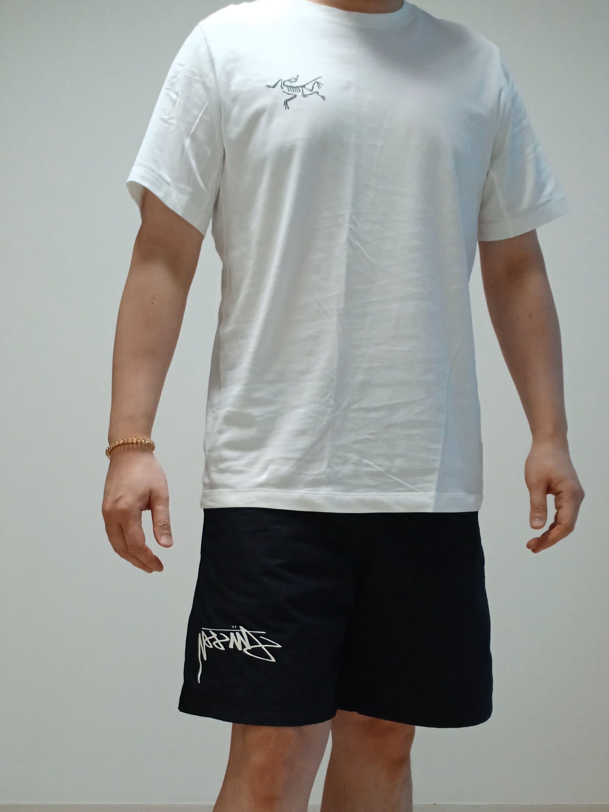 Arc'teryx Arc'Multi Bird Logo SS T-Shirt White Light, Nike x Stussy Shorts Black (FJ9167-010) 착용 스타일 - 6