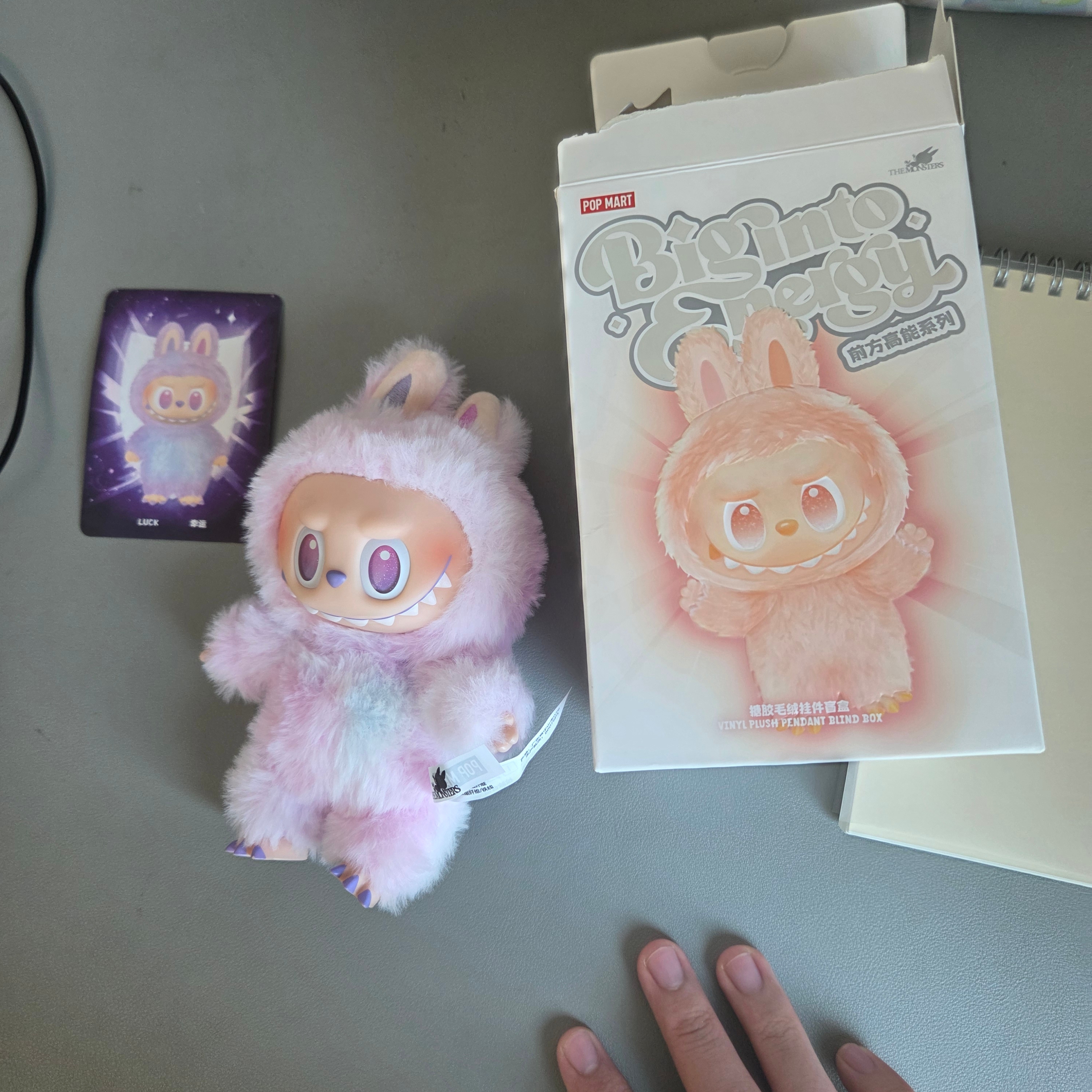 Pop Mart Labubu The Monsters Highlight Series Luck Keyring (Opened Case) 착용 스타일
