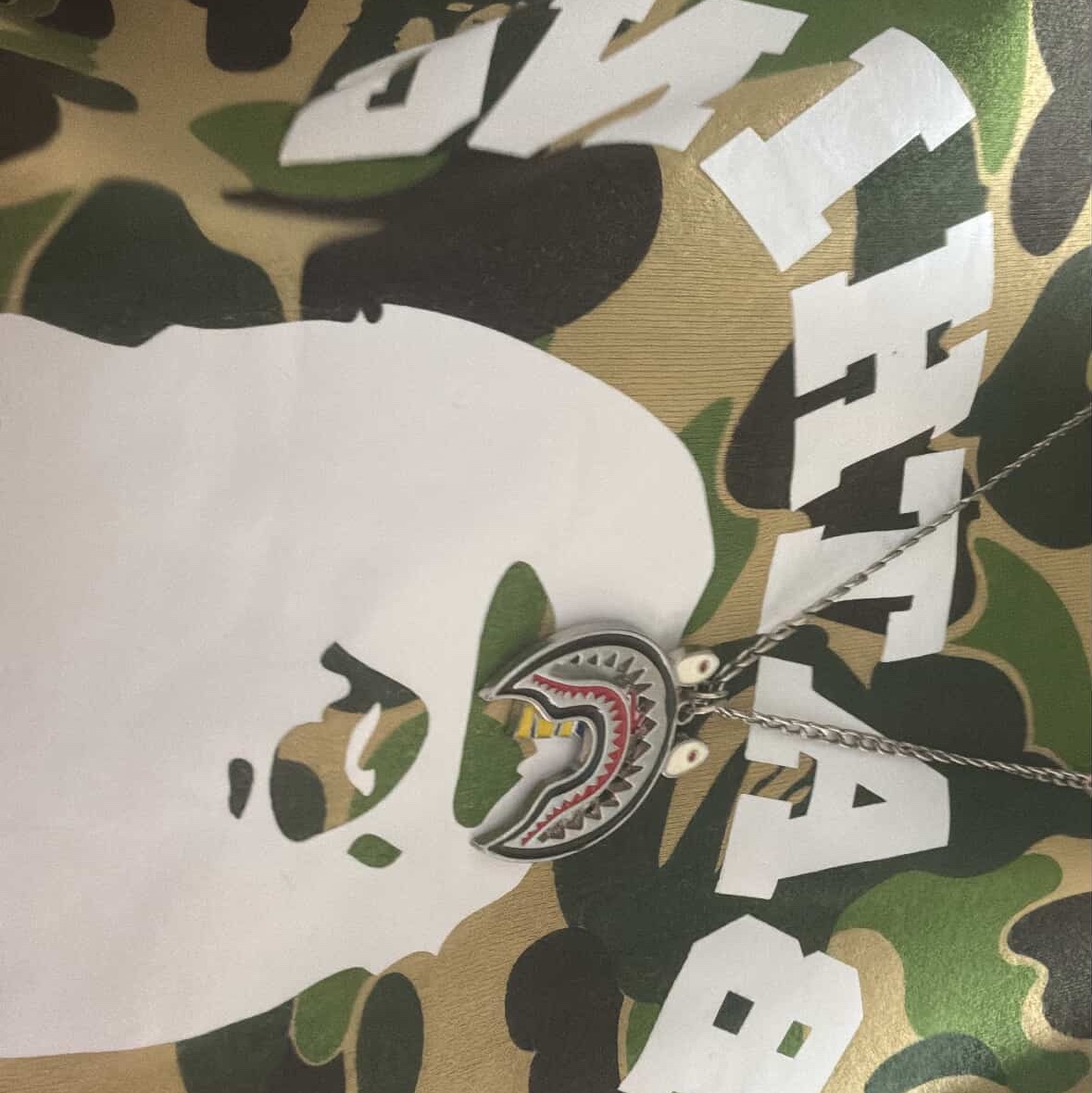 BAPE ABC Camo College T-Shirt Army Green 착용 스타일