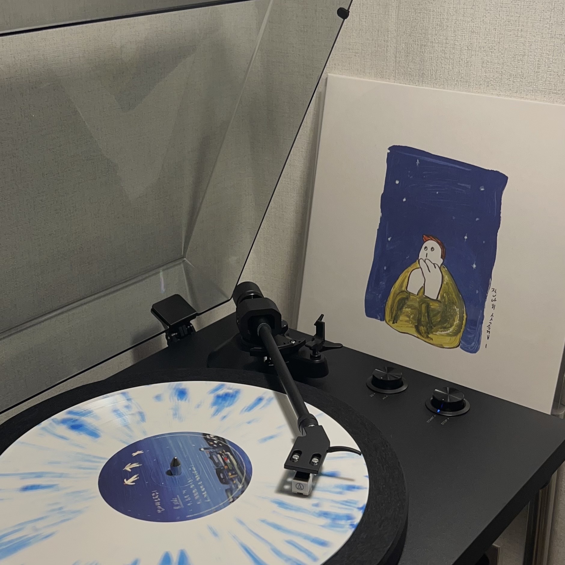 Jannabi's Small Pieces I LP White & Blue Splatter Mix 착용 스타일