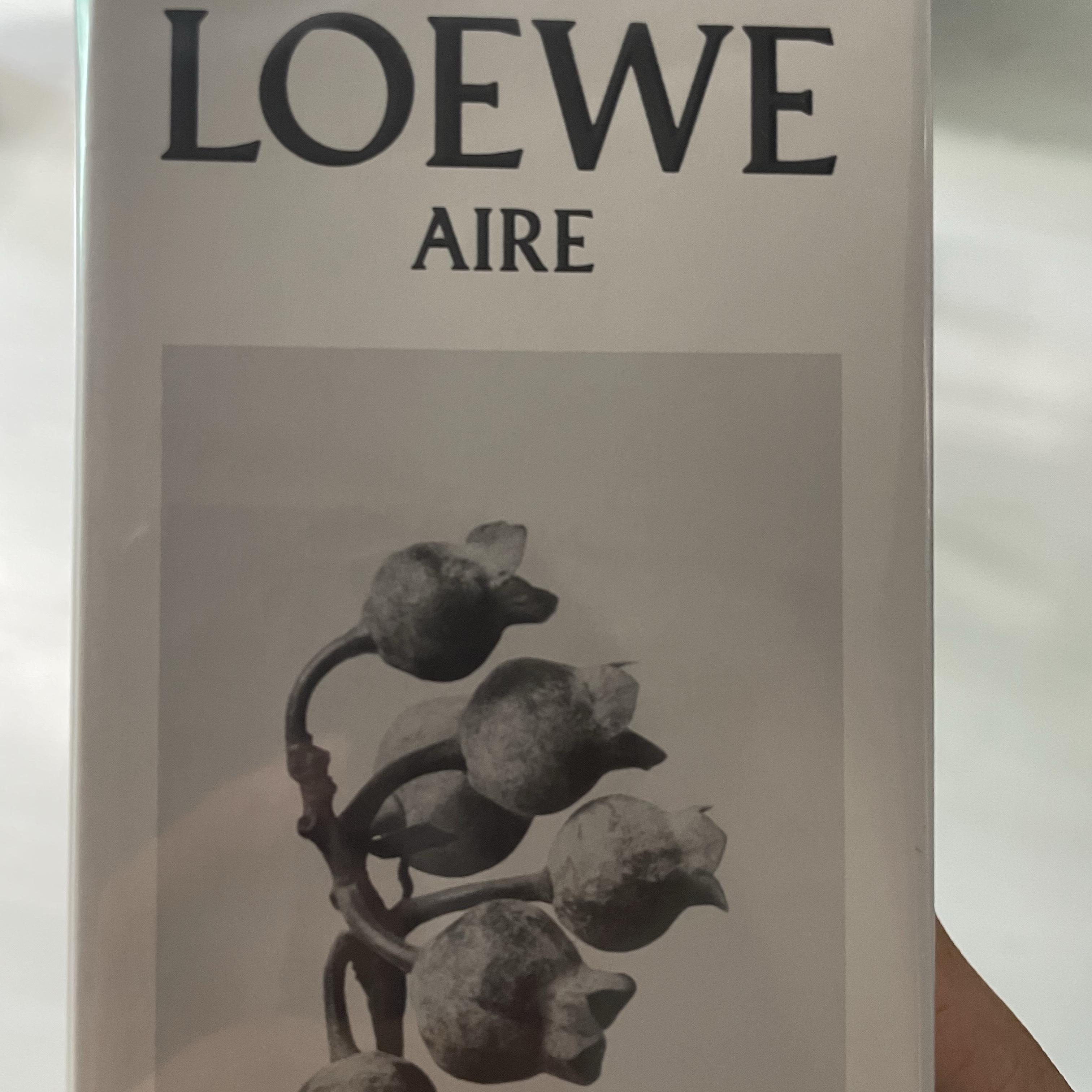 Loewe Aire Sutileza Eau de Toilette 50ml 착용 스타일 - 1